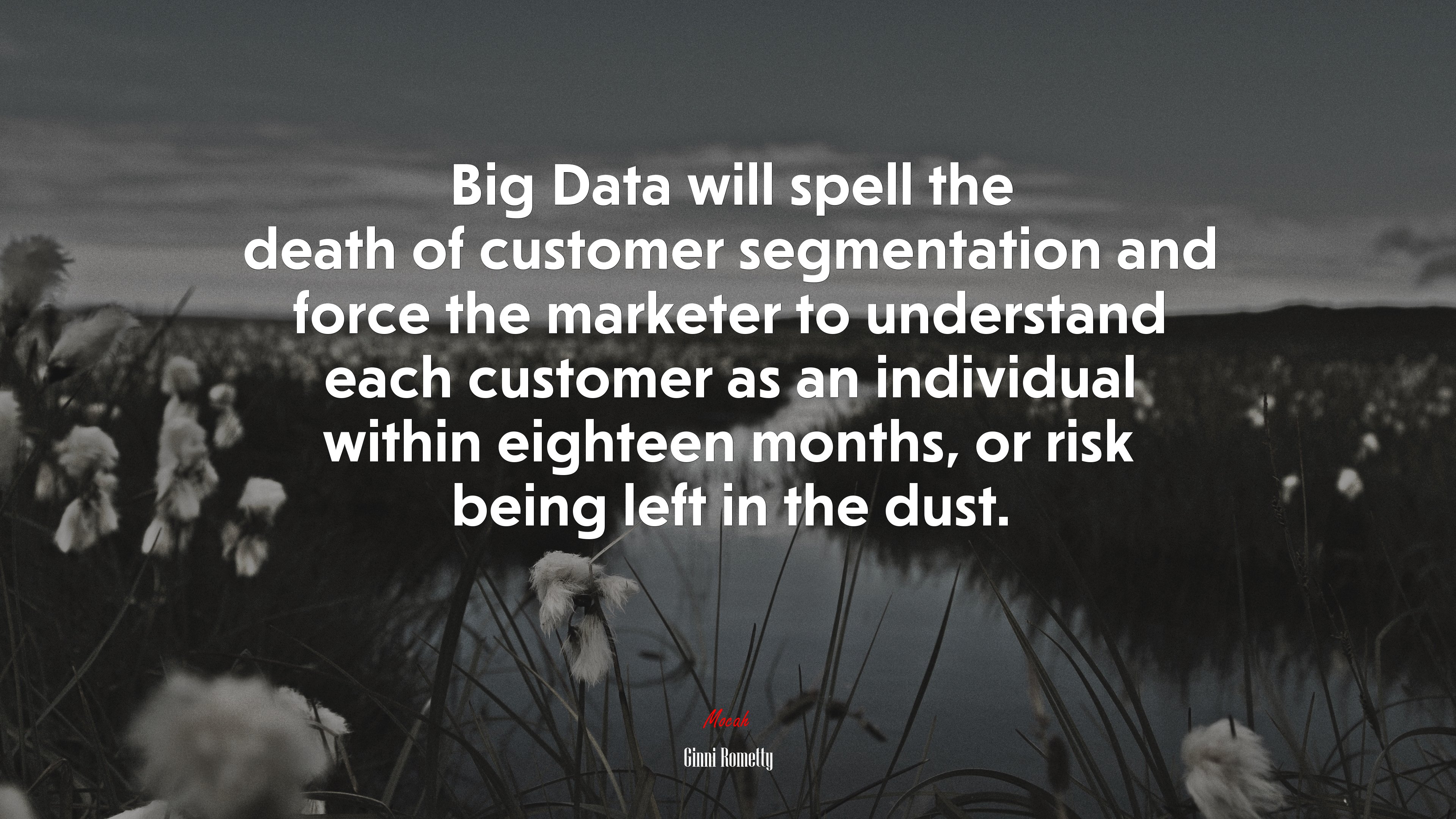 Big Data will spell the death of customer segmentation and force the marketer to understand each customer as an individual within eighteen months, or risk being left in the dust. | Ginni Rometty quote HD Wallpaper