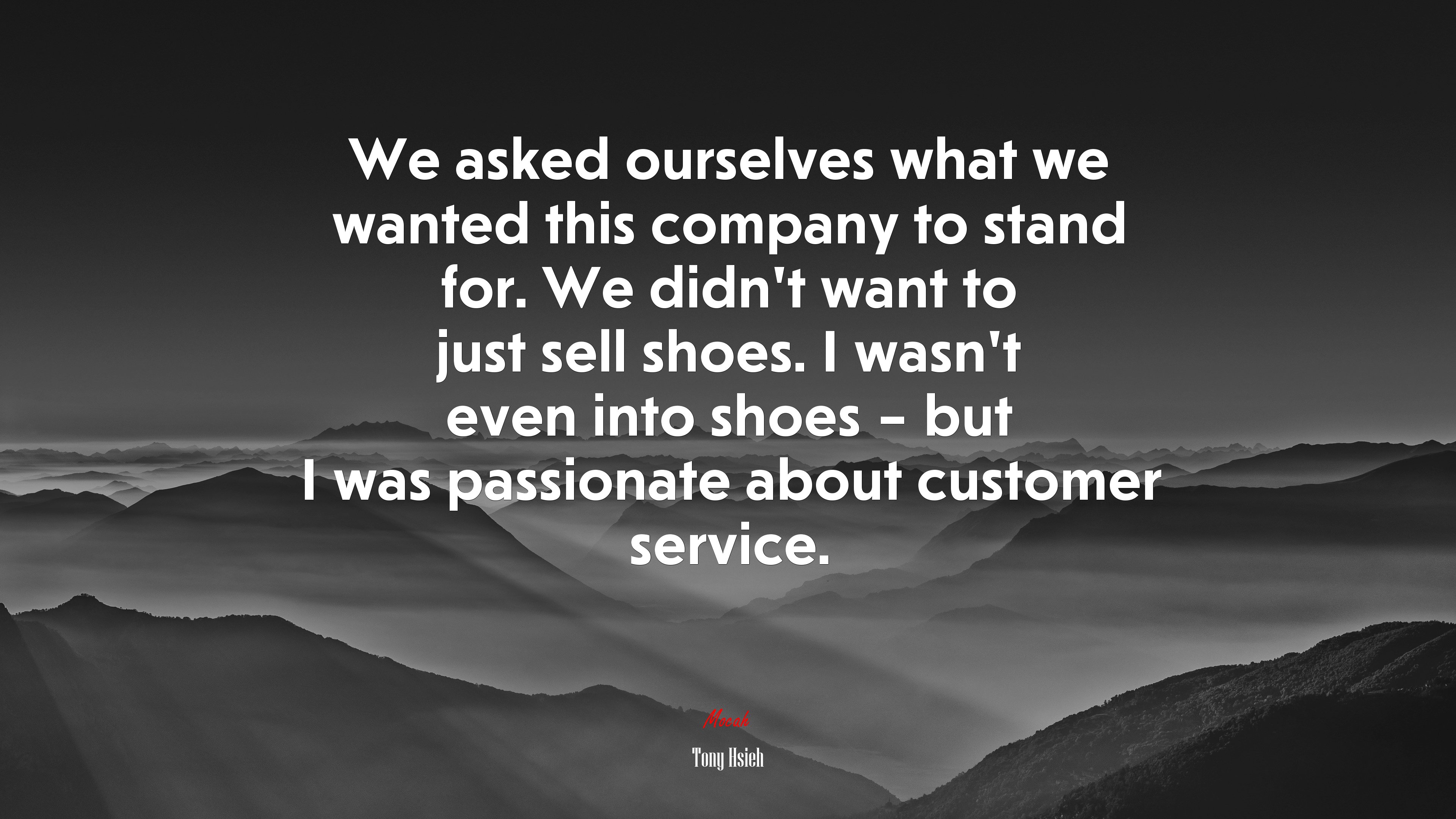 We asked ourselves what we wanted this company to stand for. We didn’t want to just sell shoes. I wasn’t even into shoes – but I was passionate about customer service. | Tony Hsieh quote HD Wallpaper