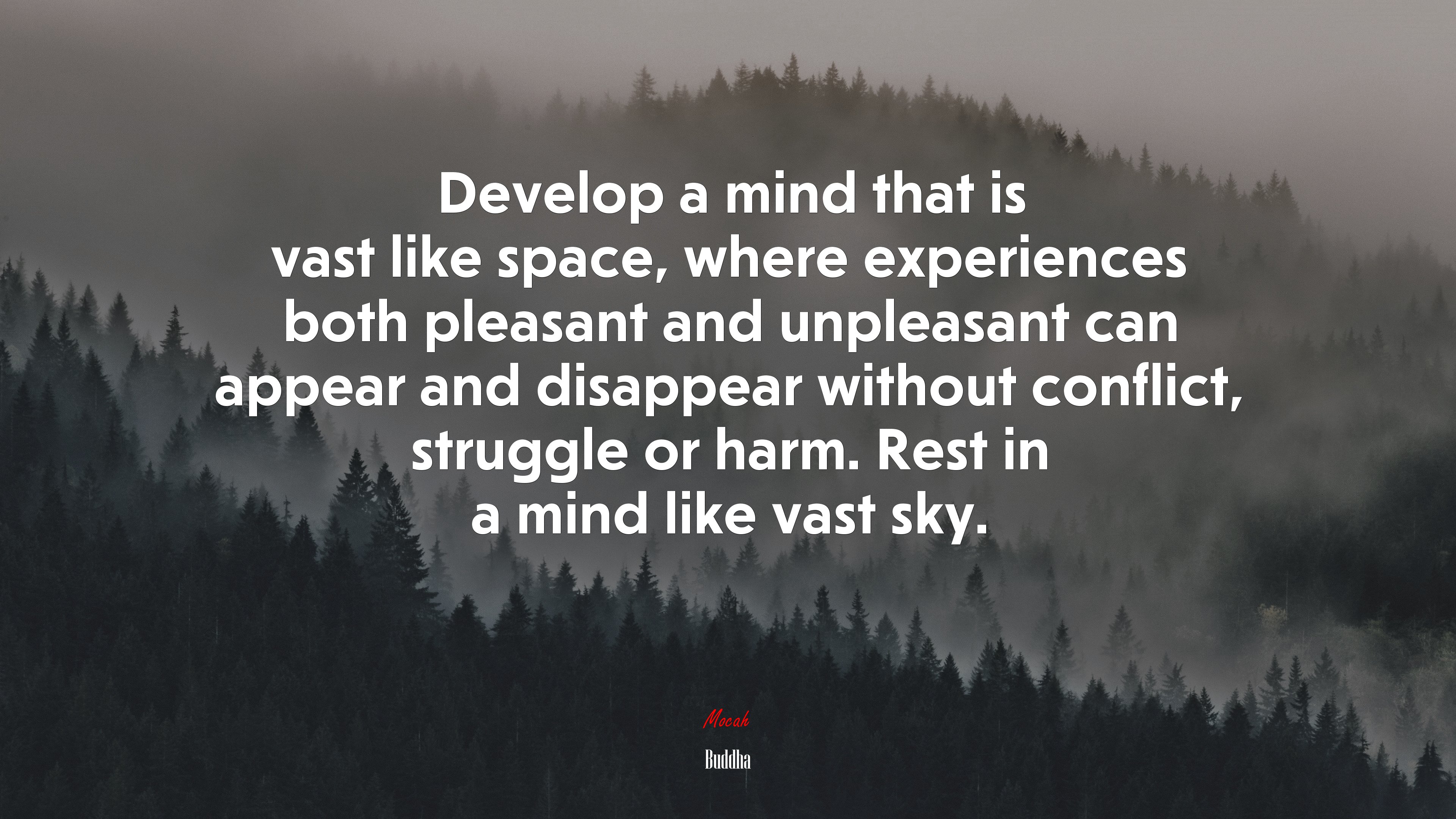 Develop a mind that is vast like space, where experiences both pleasant and unpleasant can appear and disappear without conflict, struggle or harm. Rest in a mind like vast sky. | Buddha quote HD Wallpaper