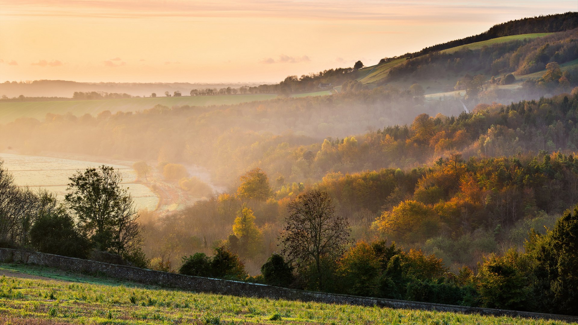 Misty valley with autumn trees at sunrise HD Wallpaper