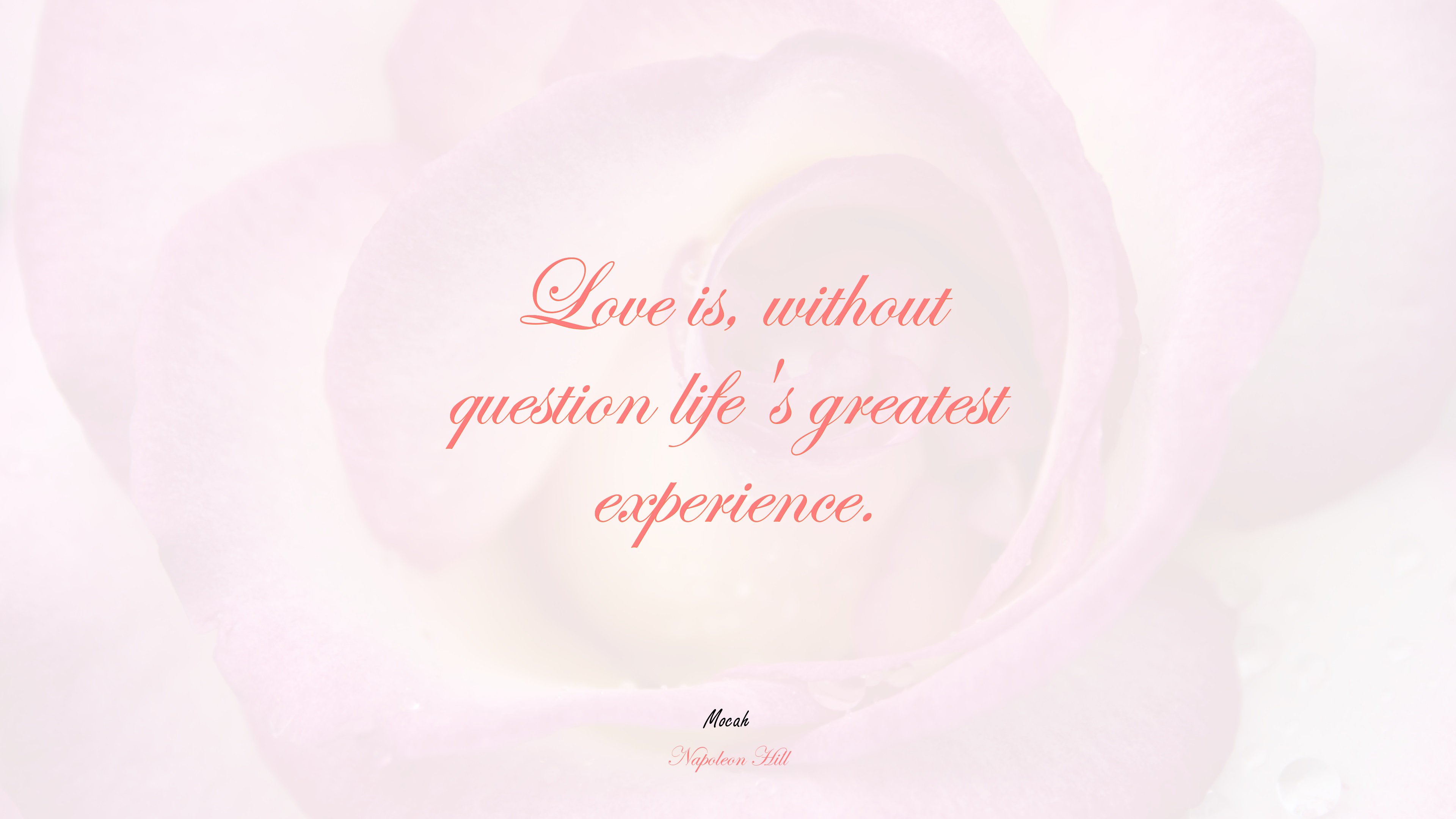 free on love quote, Napoleon Hill quote HD Wallpaper