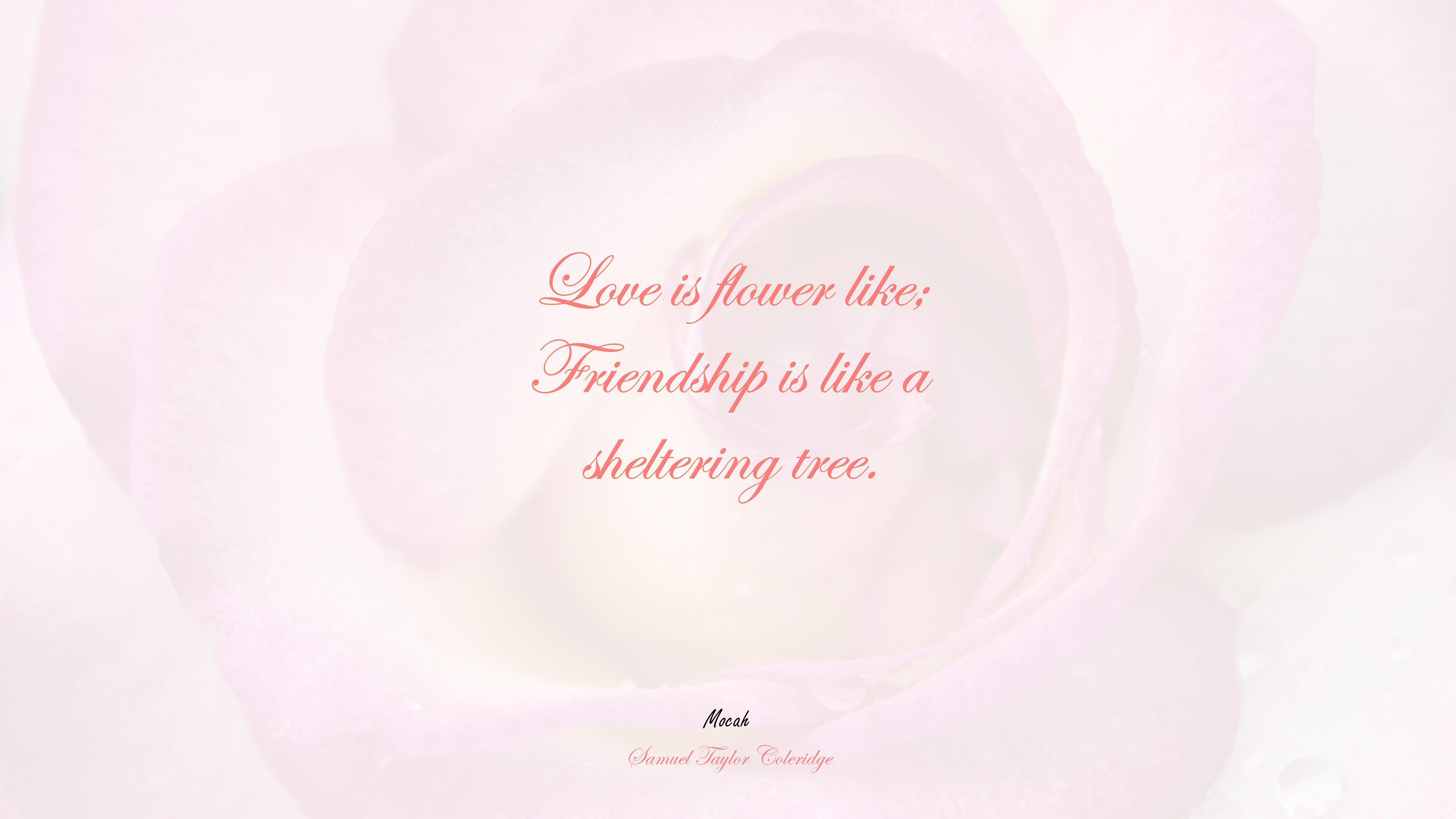 free on love quote, Samuel Taylor Coleridge quote HD Wallpaper