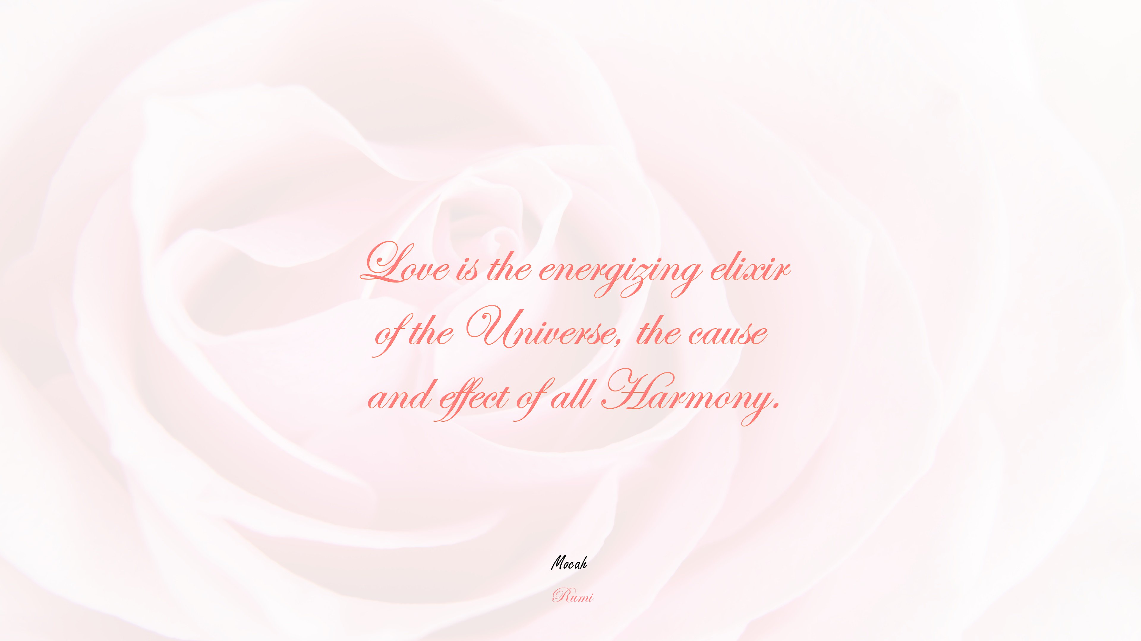 nice with quote about love, Rumi quote HD Wallpaper