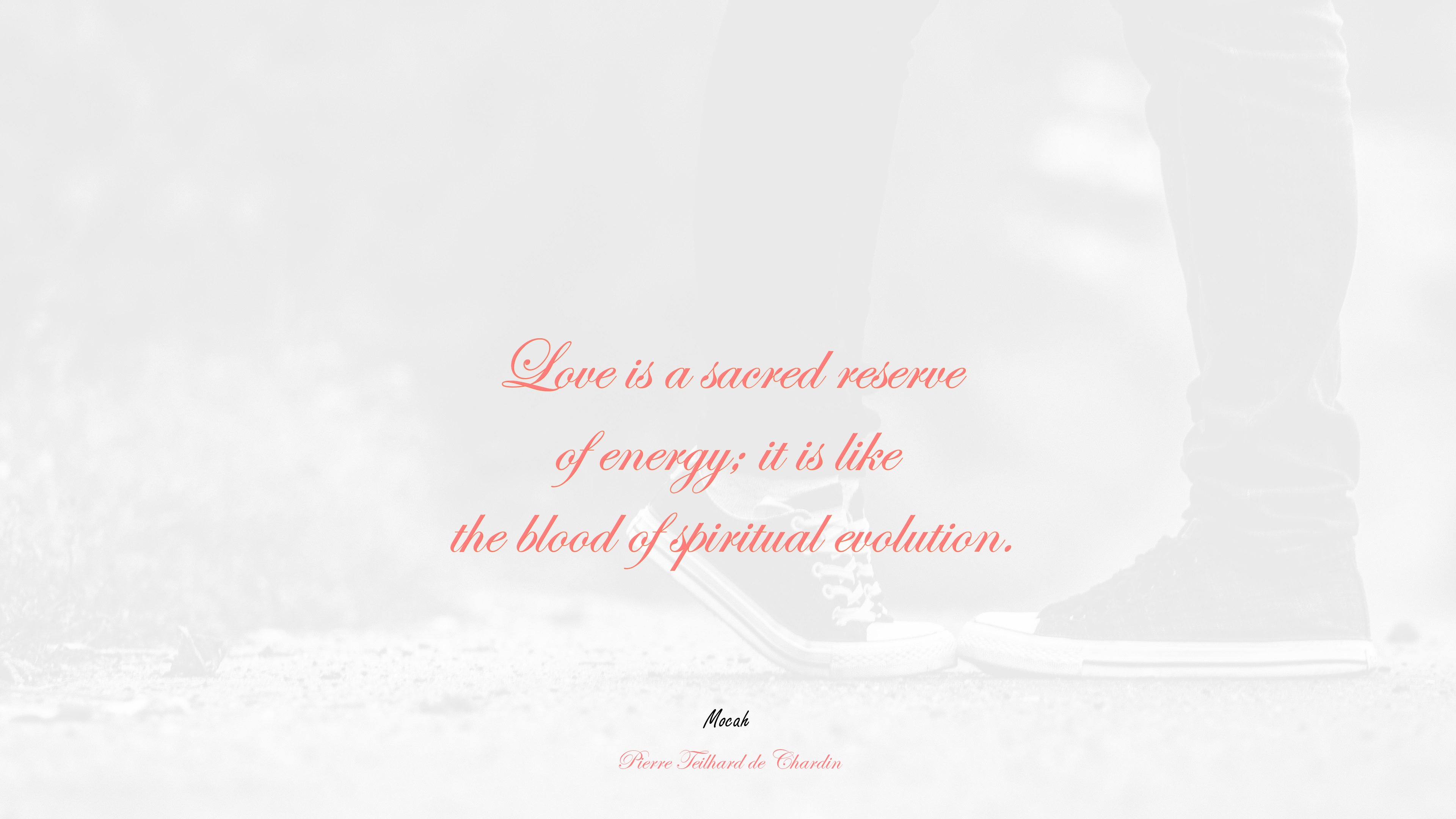  of true love quote, Pierre Teilhard de Chardin quote HD Wallpaper