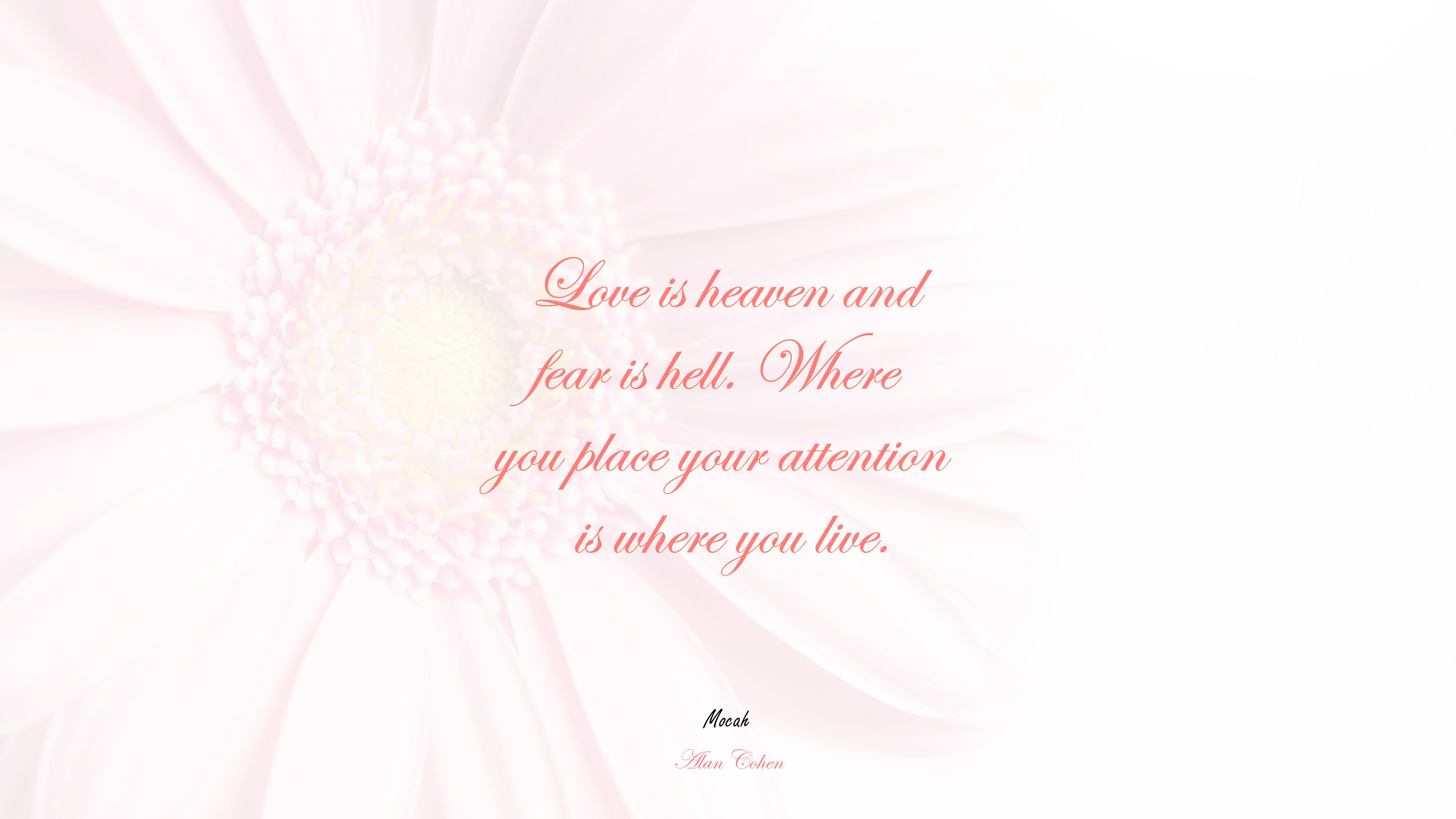 love quote in english, Alan Cohen quote HD Wallpaper