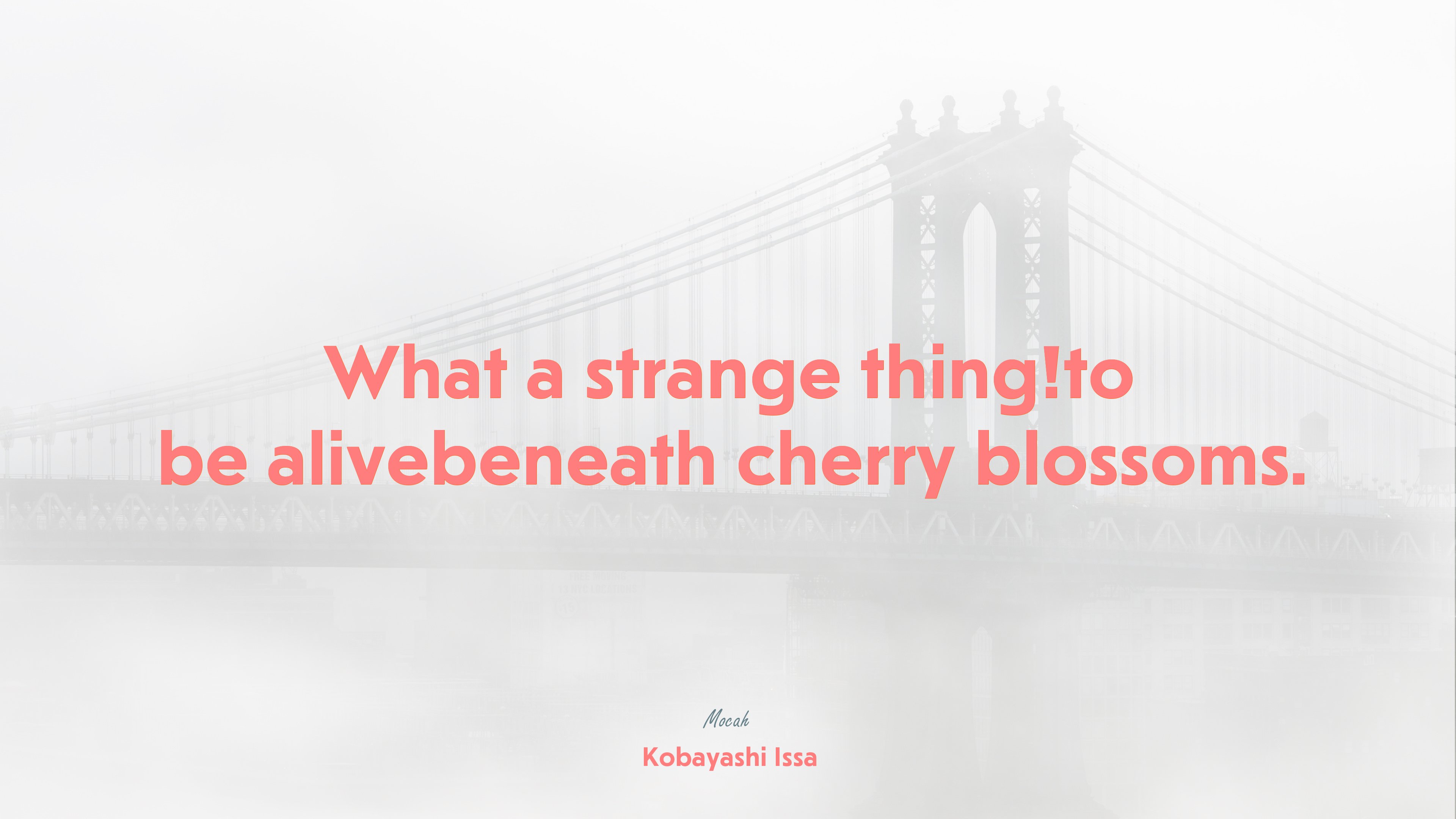 life quote, Kobayashi Issa quote HD Wallpaper
