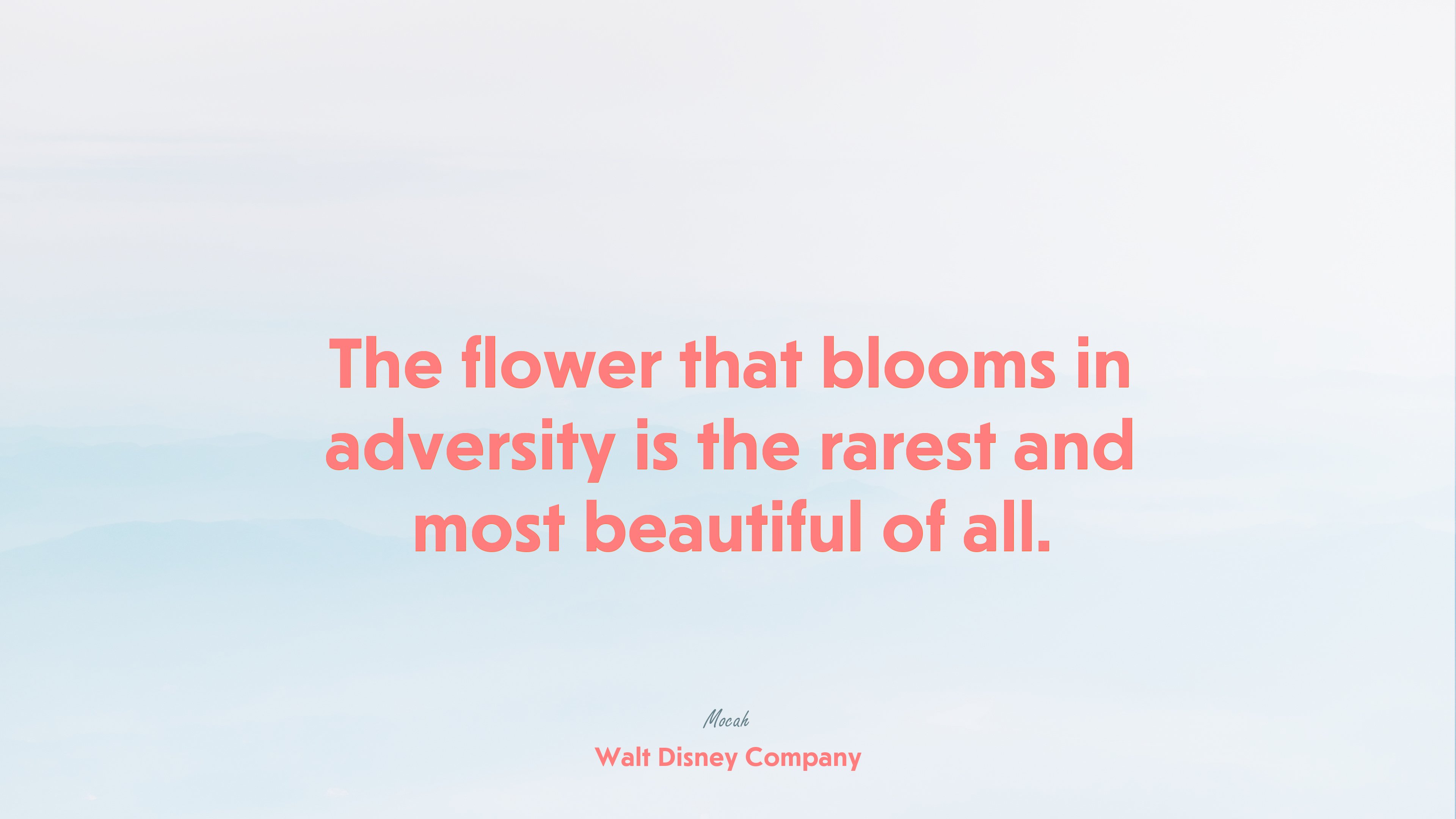 hd life quote, Walt Disney Company quote HD Wallpaper