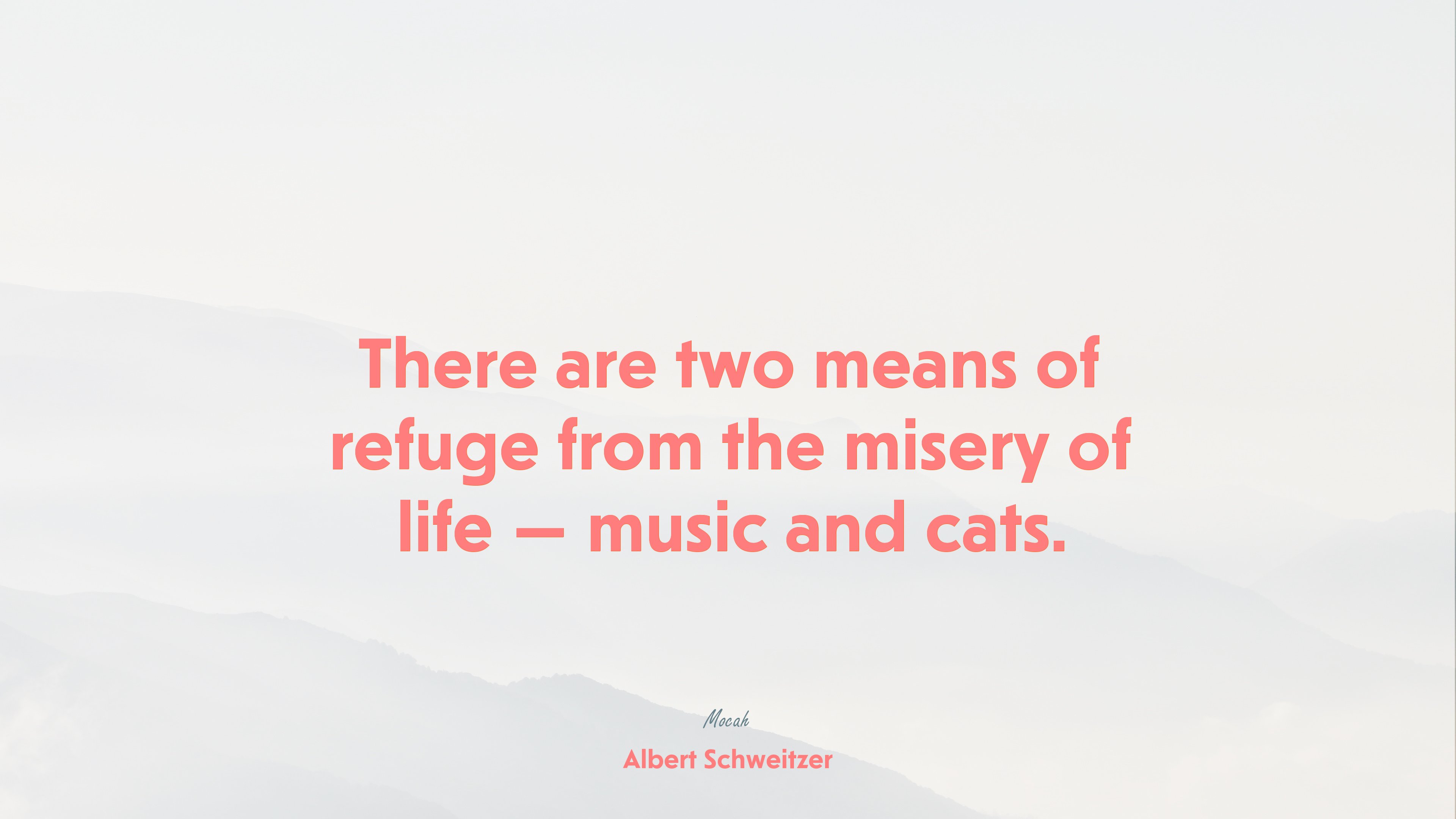 hd on life quote, Albert Schweitzer quote HD Wallpaper