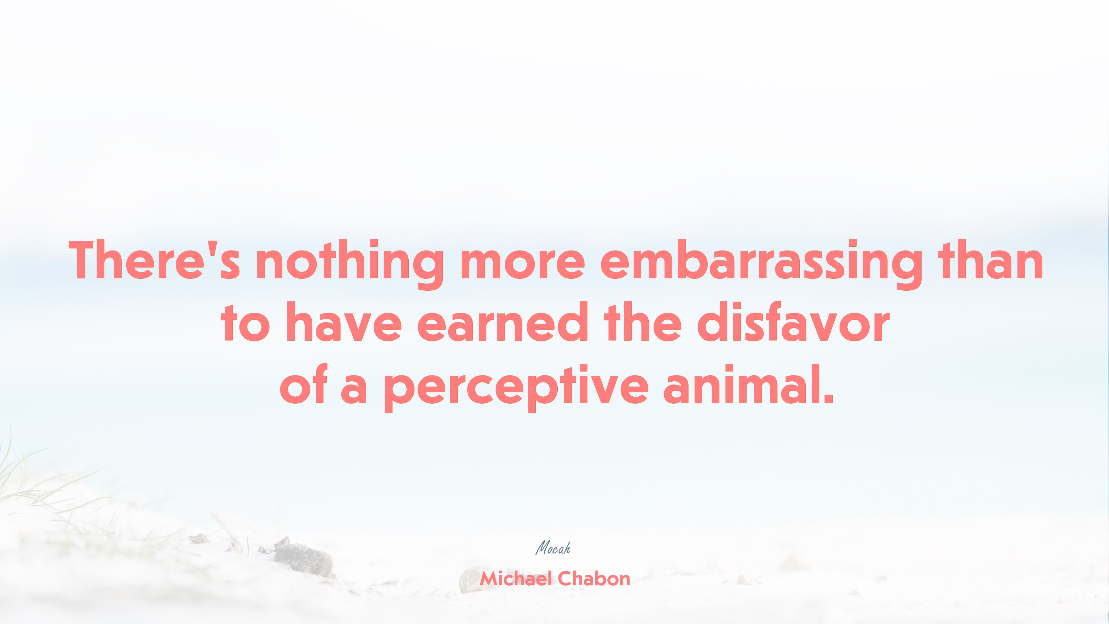 nice life quote, Michael Chabon quote HD Wallpaper