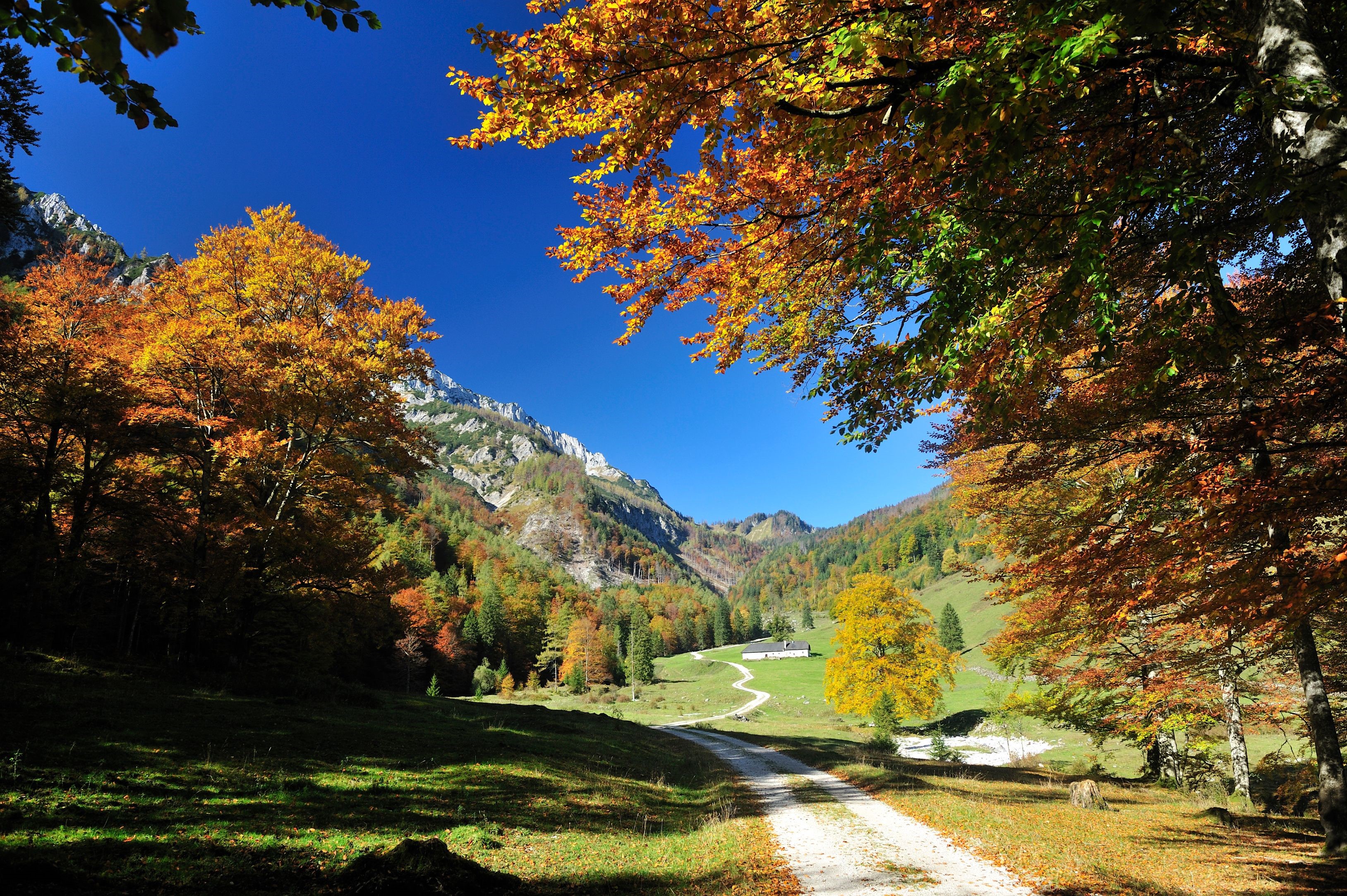 Autumn mountain landscape with a winding path and a house HD Wallpaper