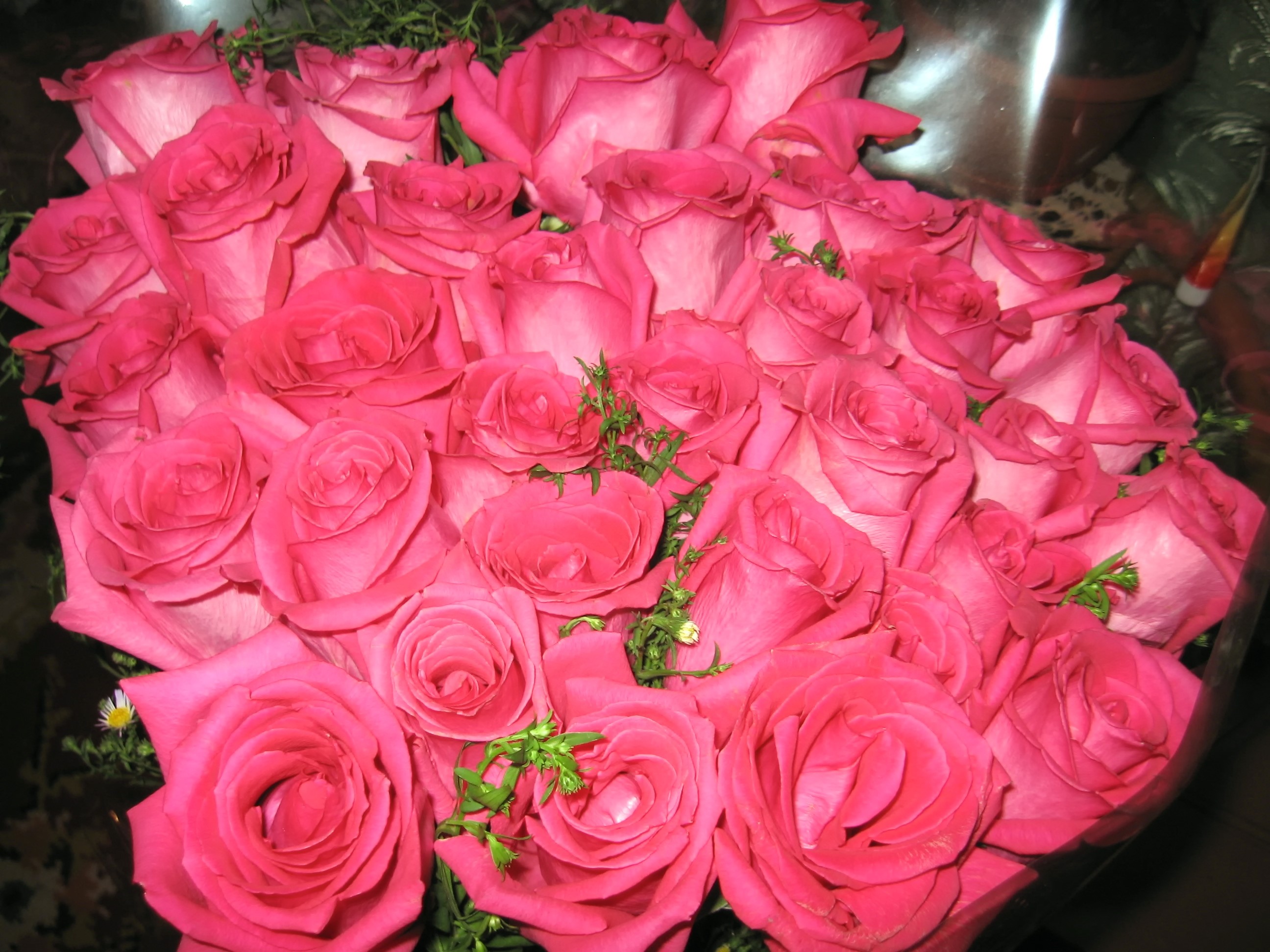 A bouquet of pink roses HD Wallpaper