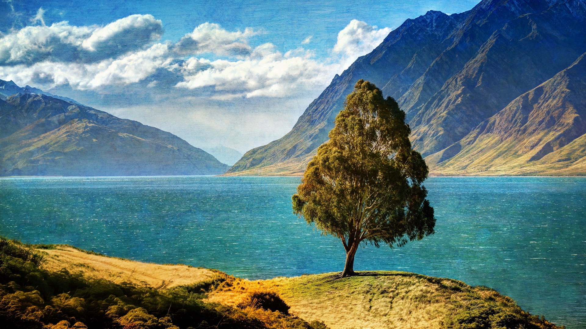 Lone tree on a hill overlooking a lake and mountains HD Wallpaper
