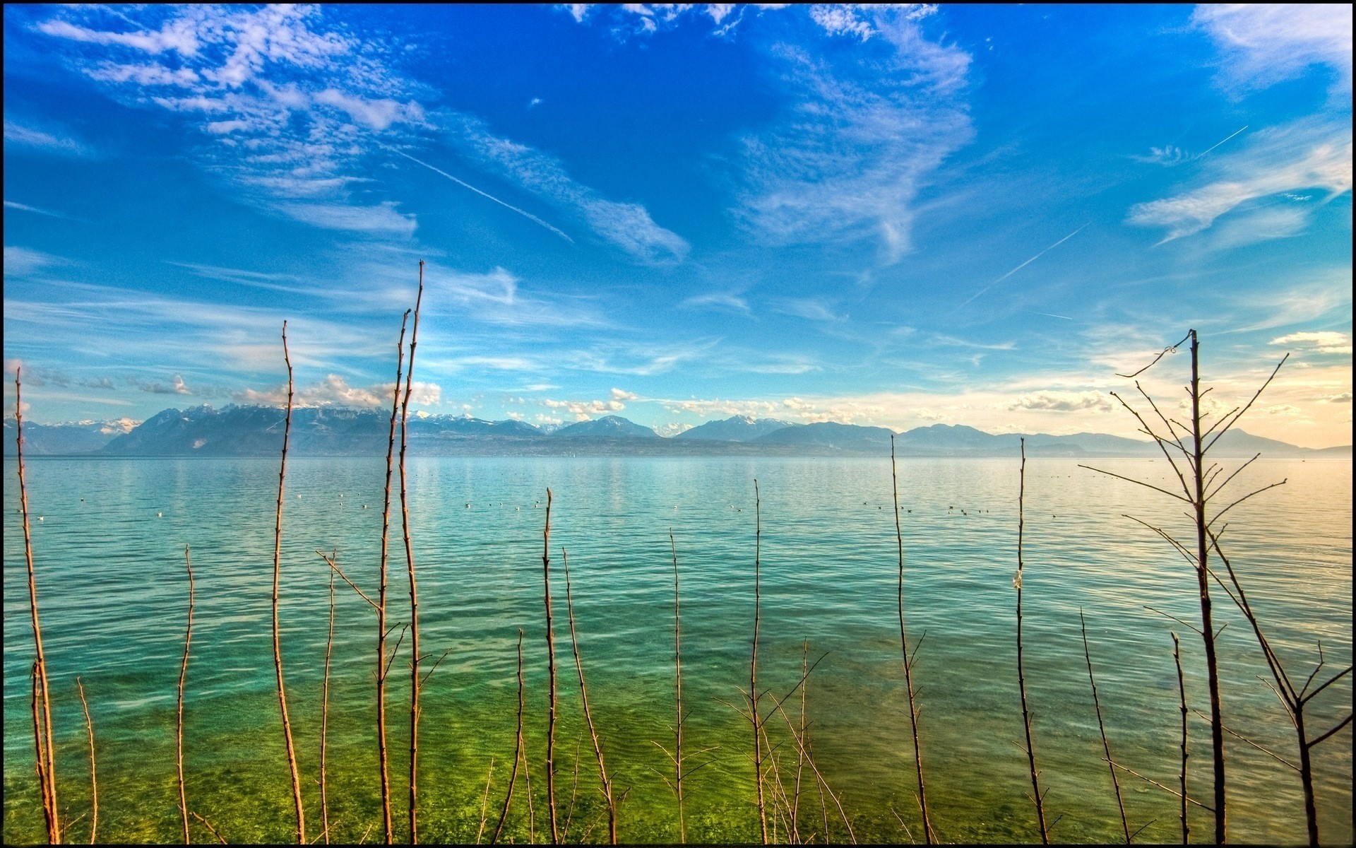 Lake Geneva with Alps in the background HD Wallpaper