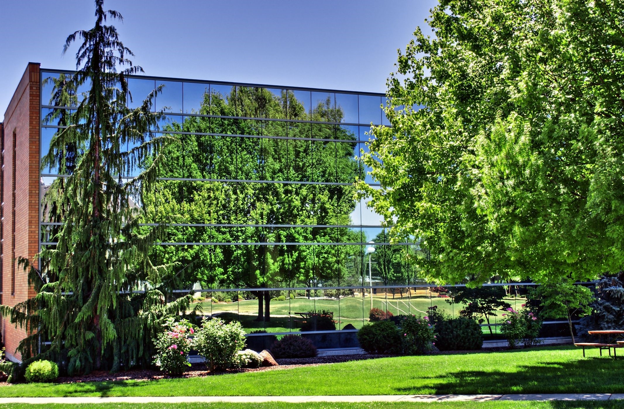 Modern building with glass facade and trees HD Wallpaper