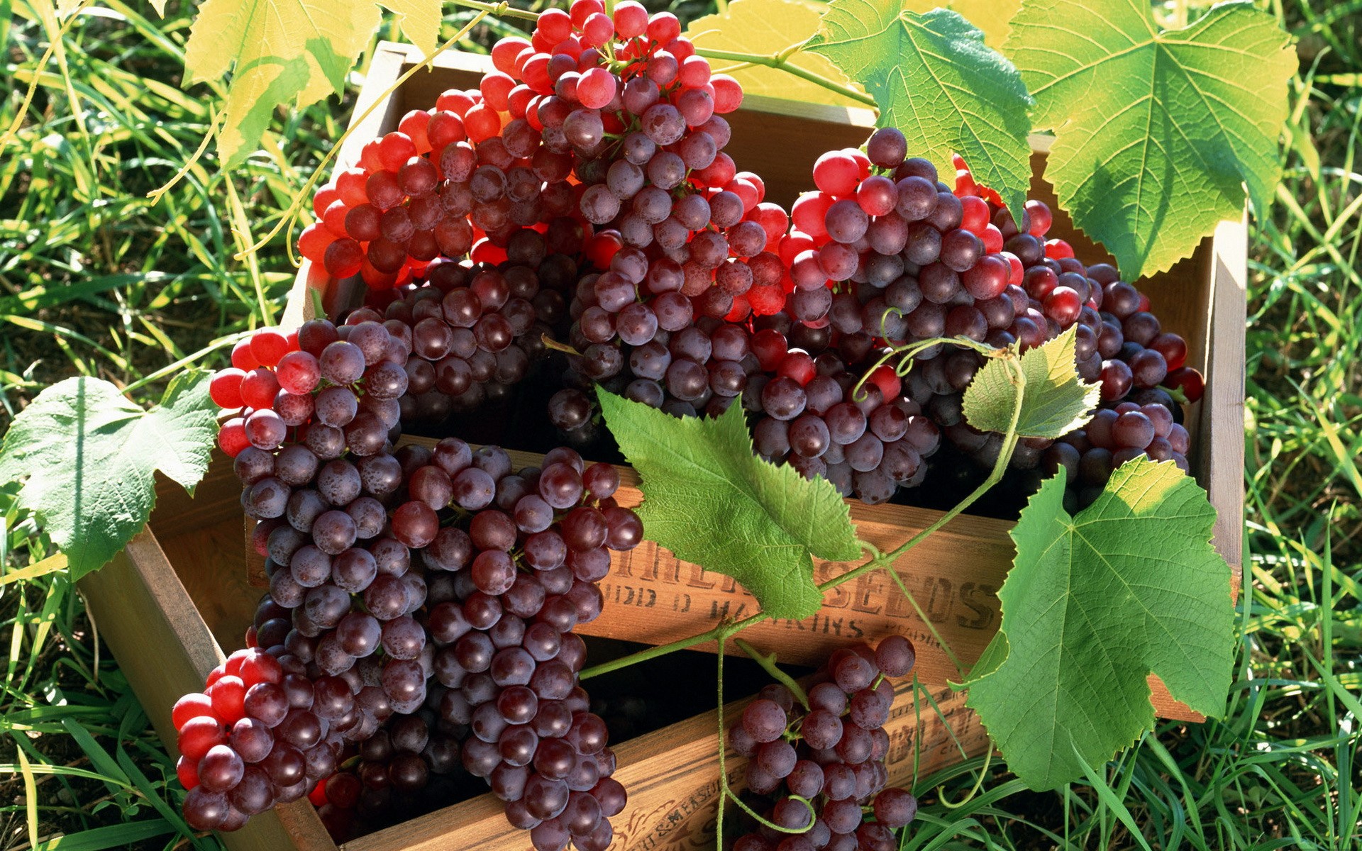 Red grapes in a wooden crate HD Wallpaper