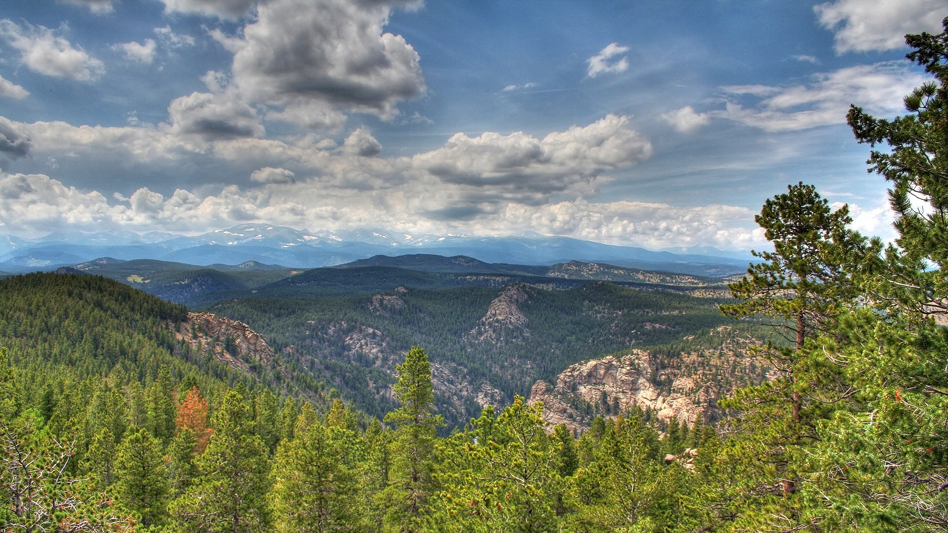 Mountain Range with Pine Forest and Clouds HD Wallpaper