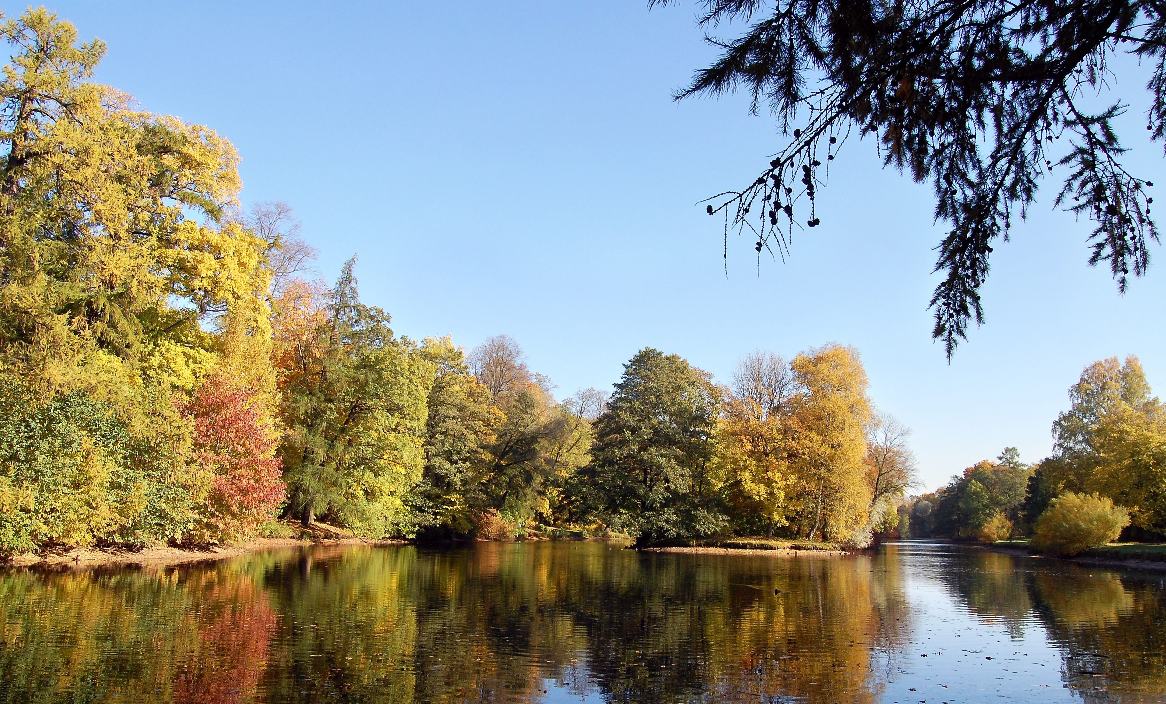 Autumn trees reflected in a calm river HD Wallpaper