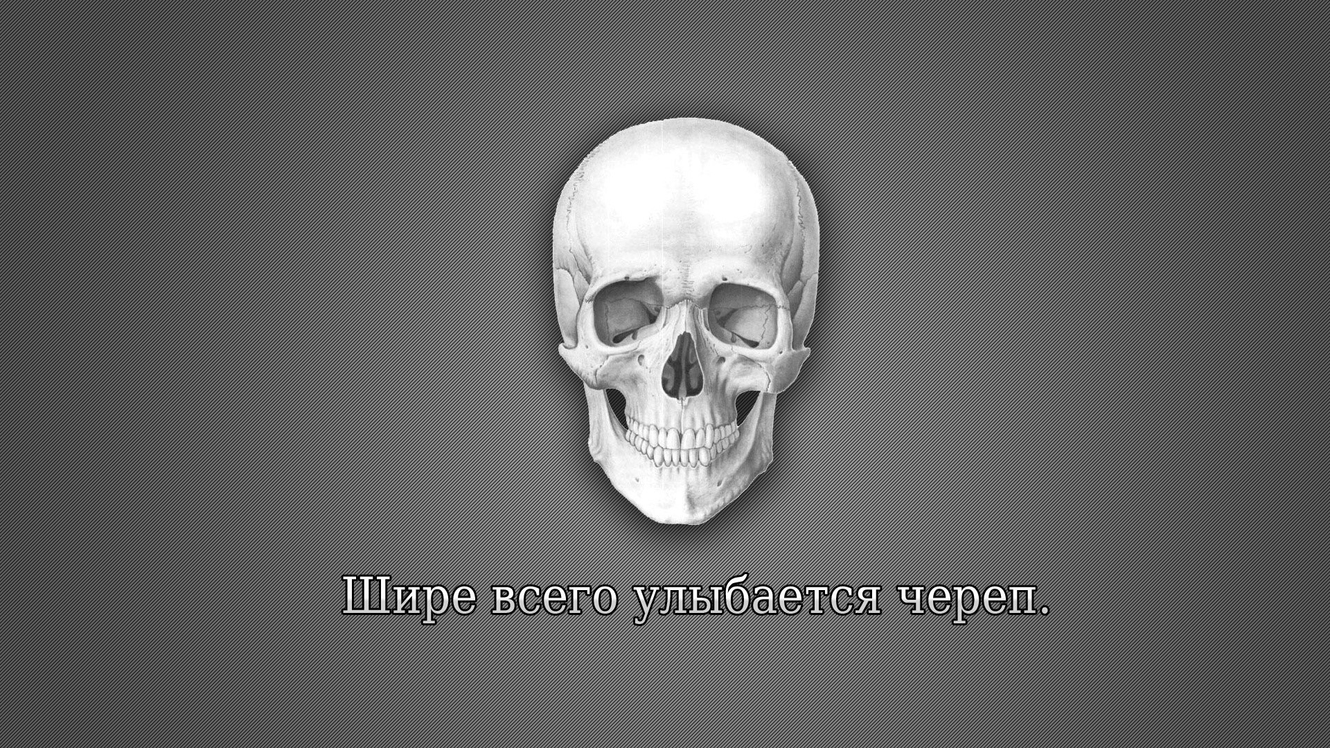 Skull with Russian text HD Wallpaper