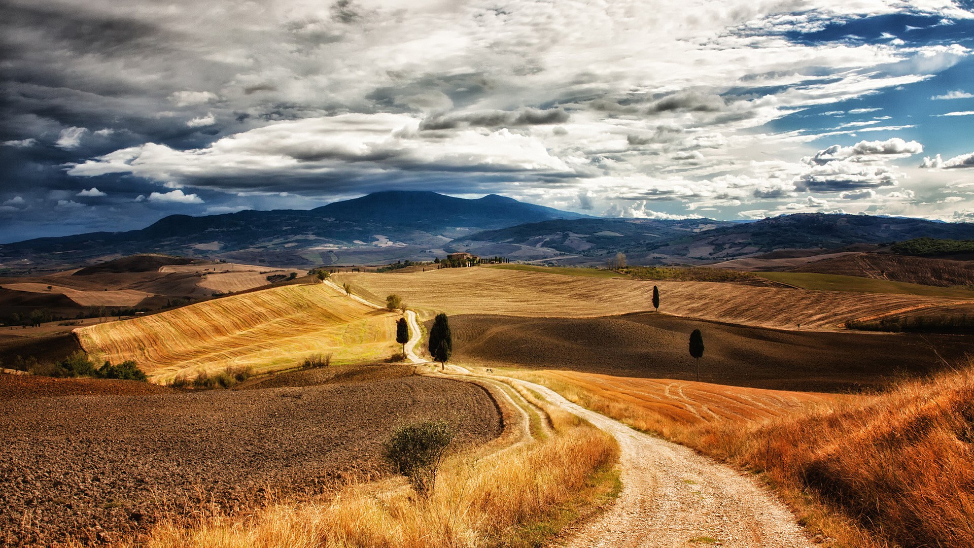 Tuscan landscape with rolling hills and a dirt road HD Wallpaper