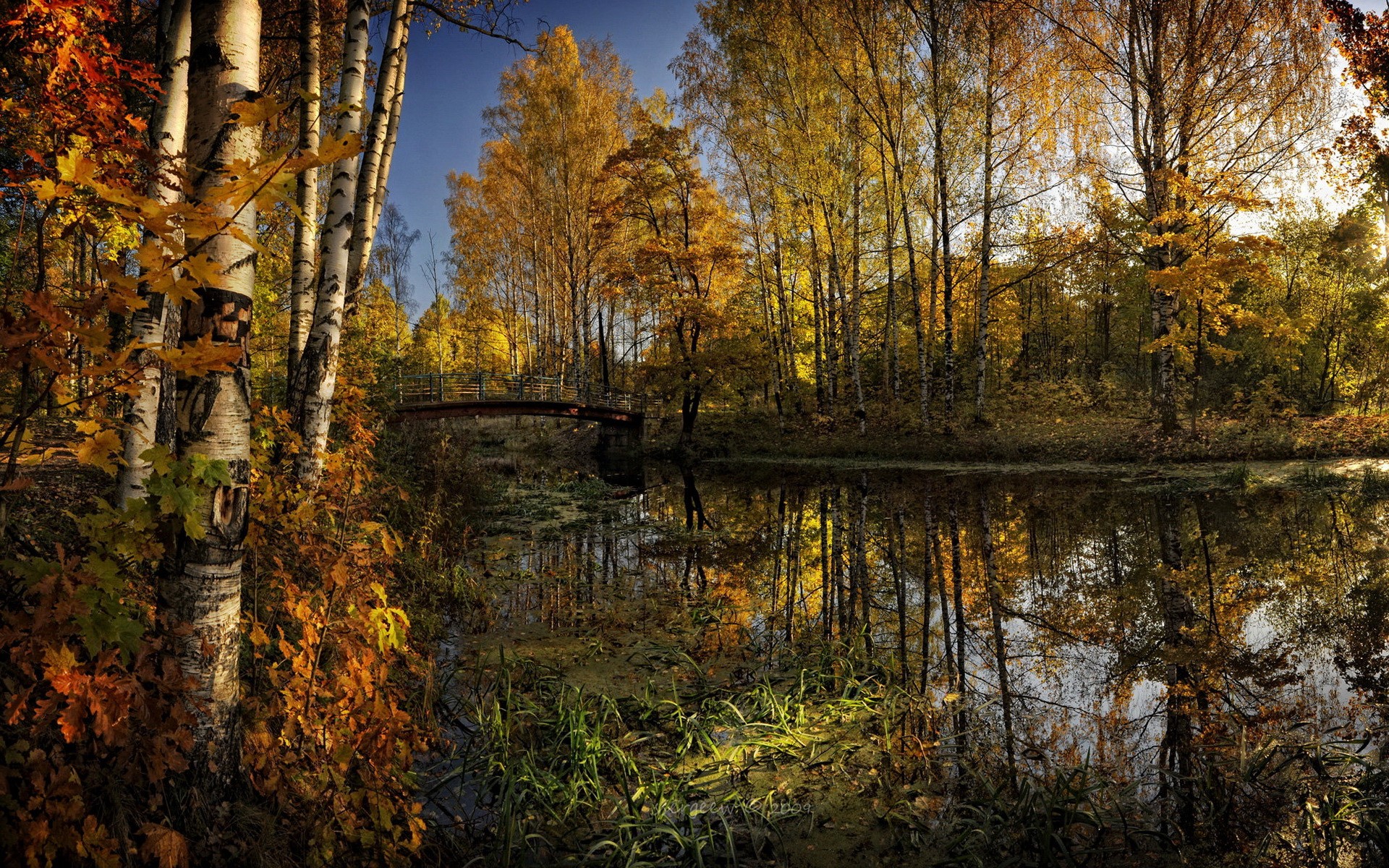 Autumn forest with a bridge over a pond HD Wallpaper