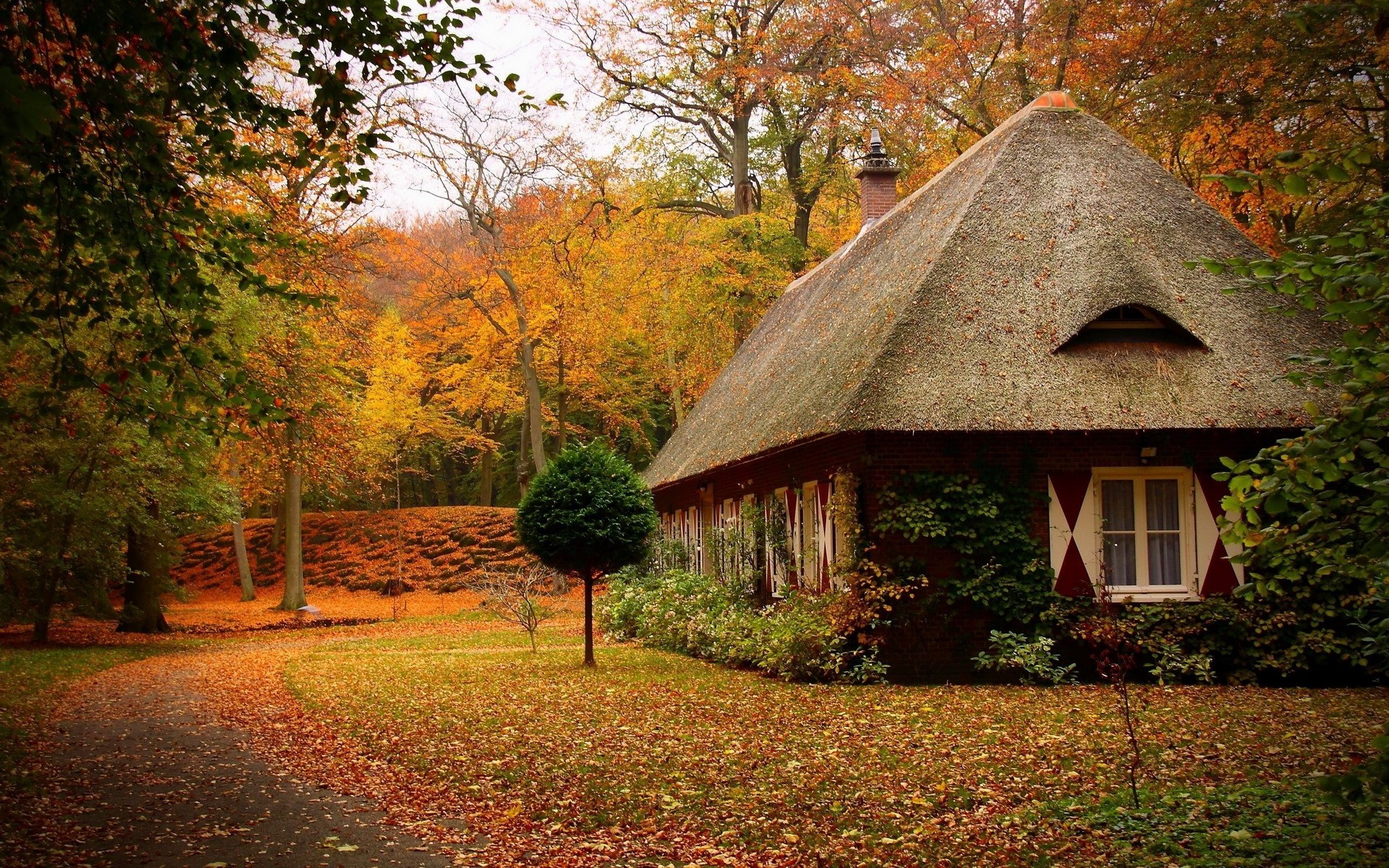 Thatched roof cottage in autumn forest HD Wallpaper