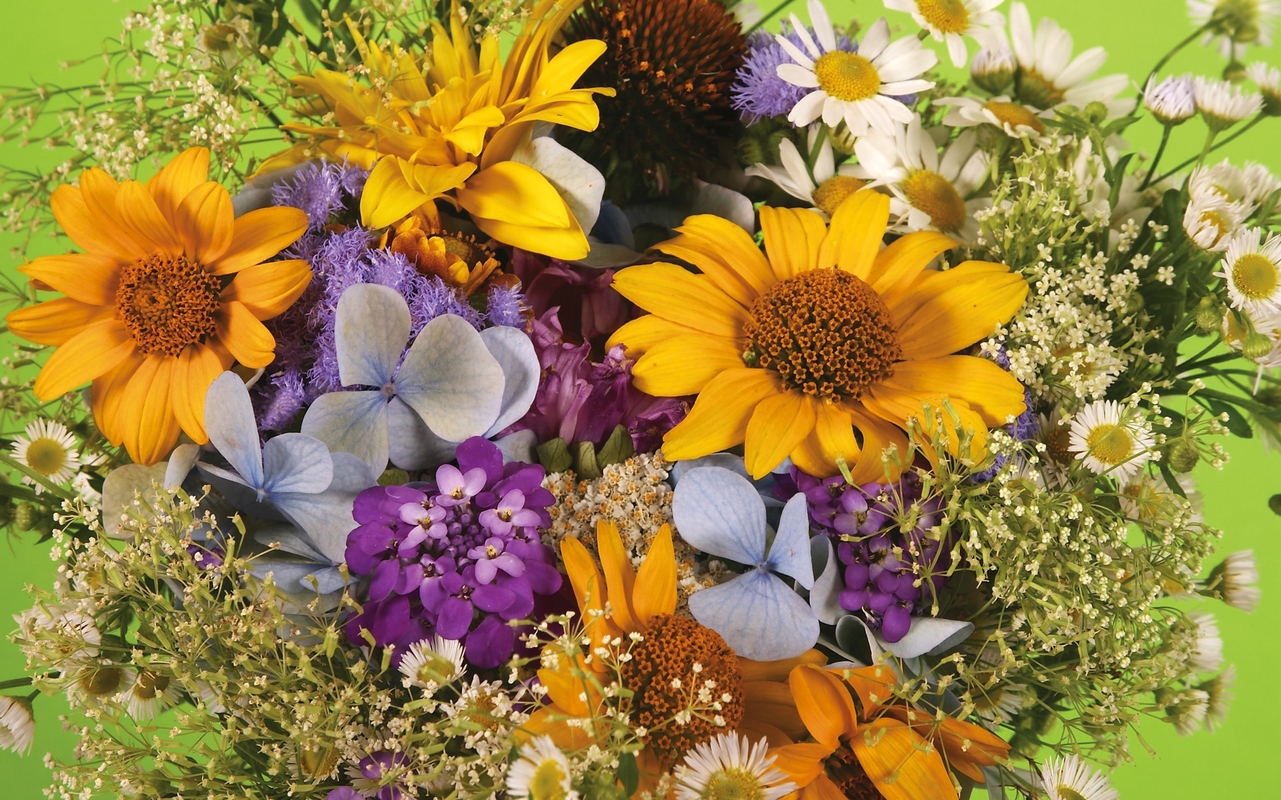 Bouquet of wildflowers HD Wallpaper