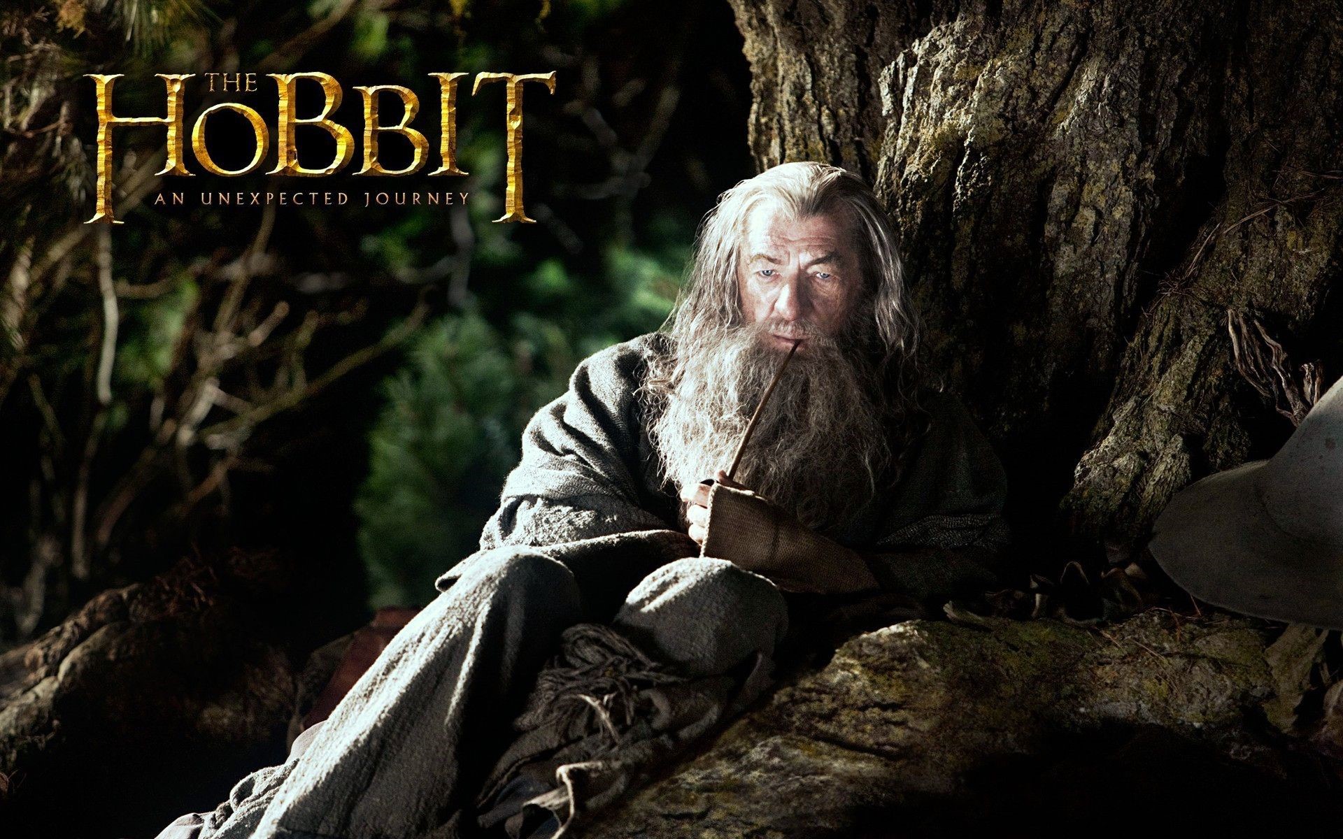 Gandalf from The Hobbit: An Unexpected Journey HD Wallpaper