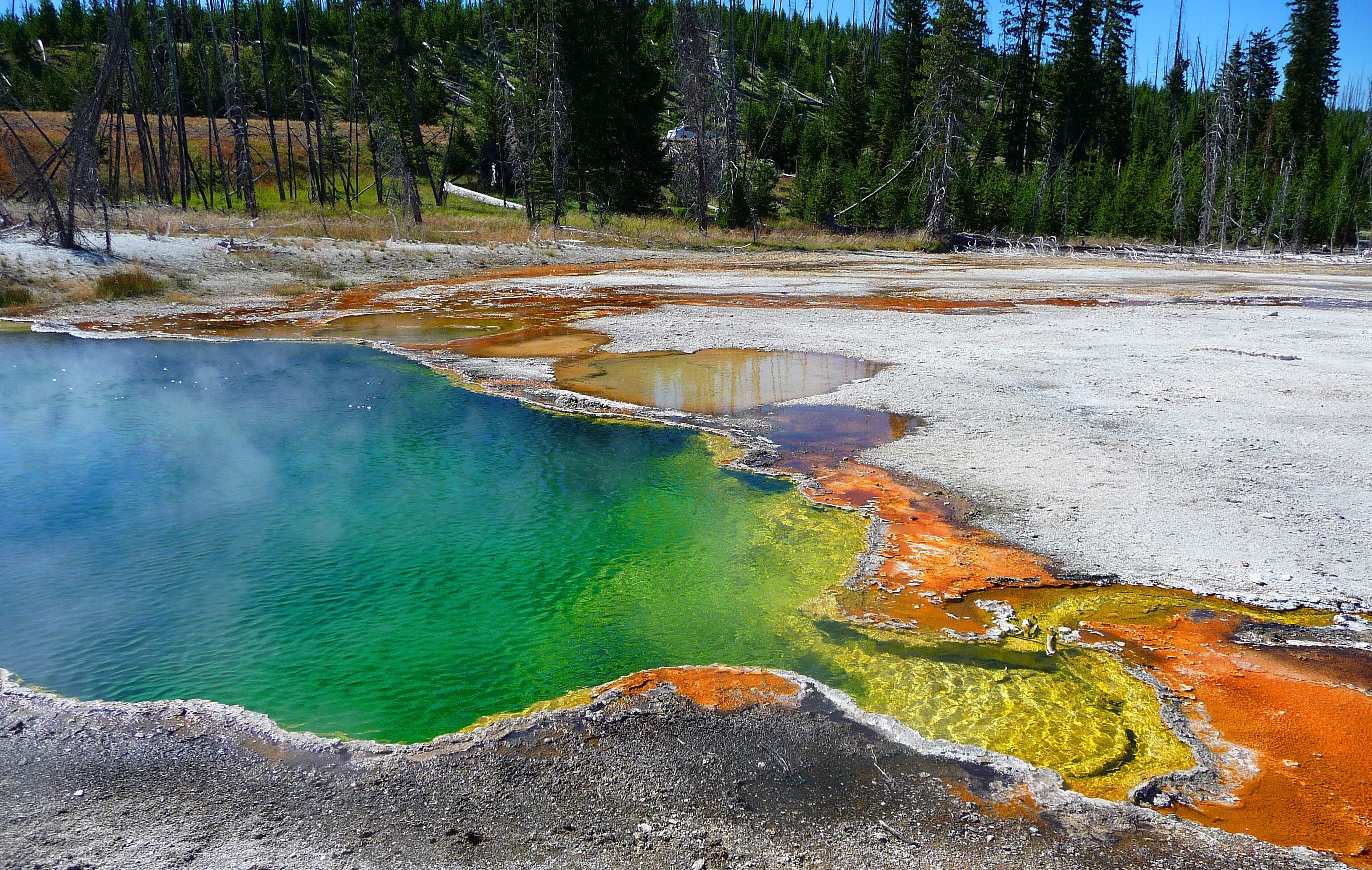 Hot spring in Yellowstone National Park, USA HD Wallpaper