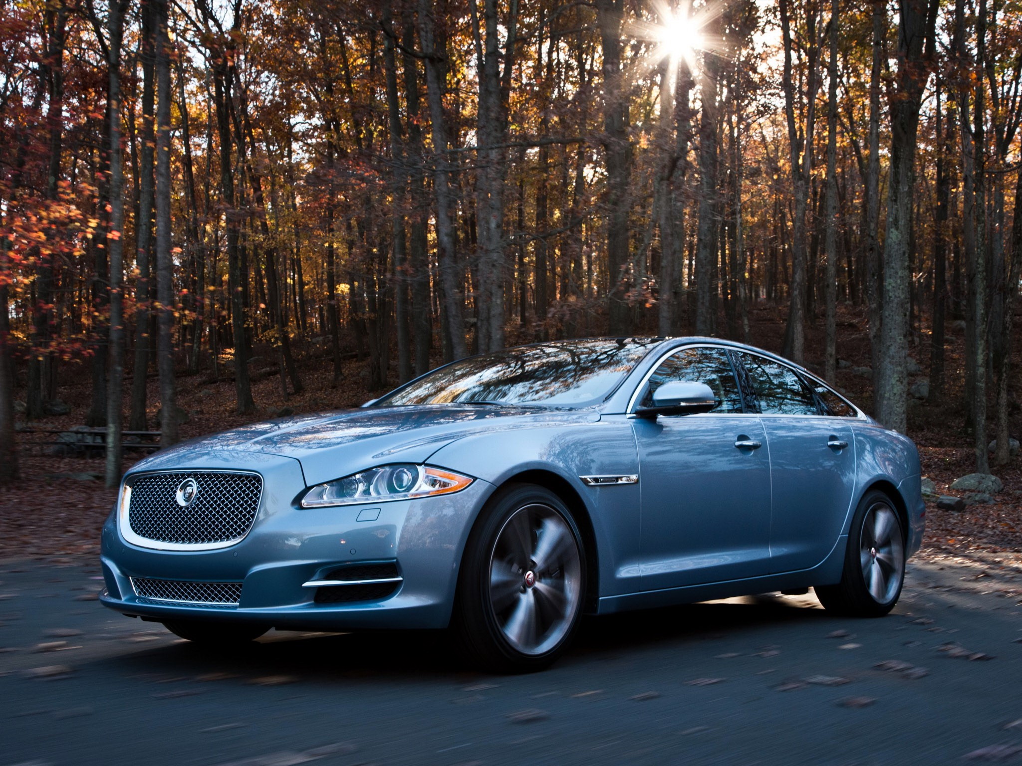 Blue Jaguar XJ driving on a road in autumn forest HD Wallpaper