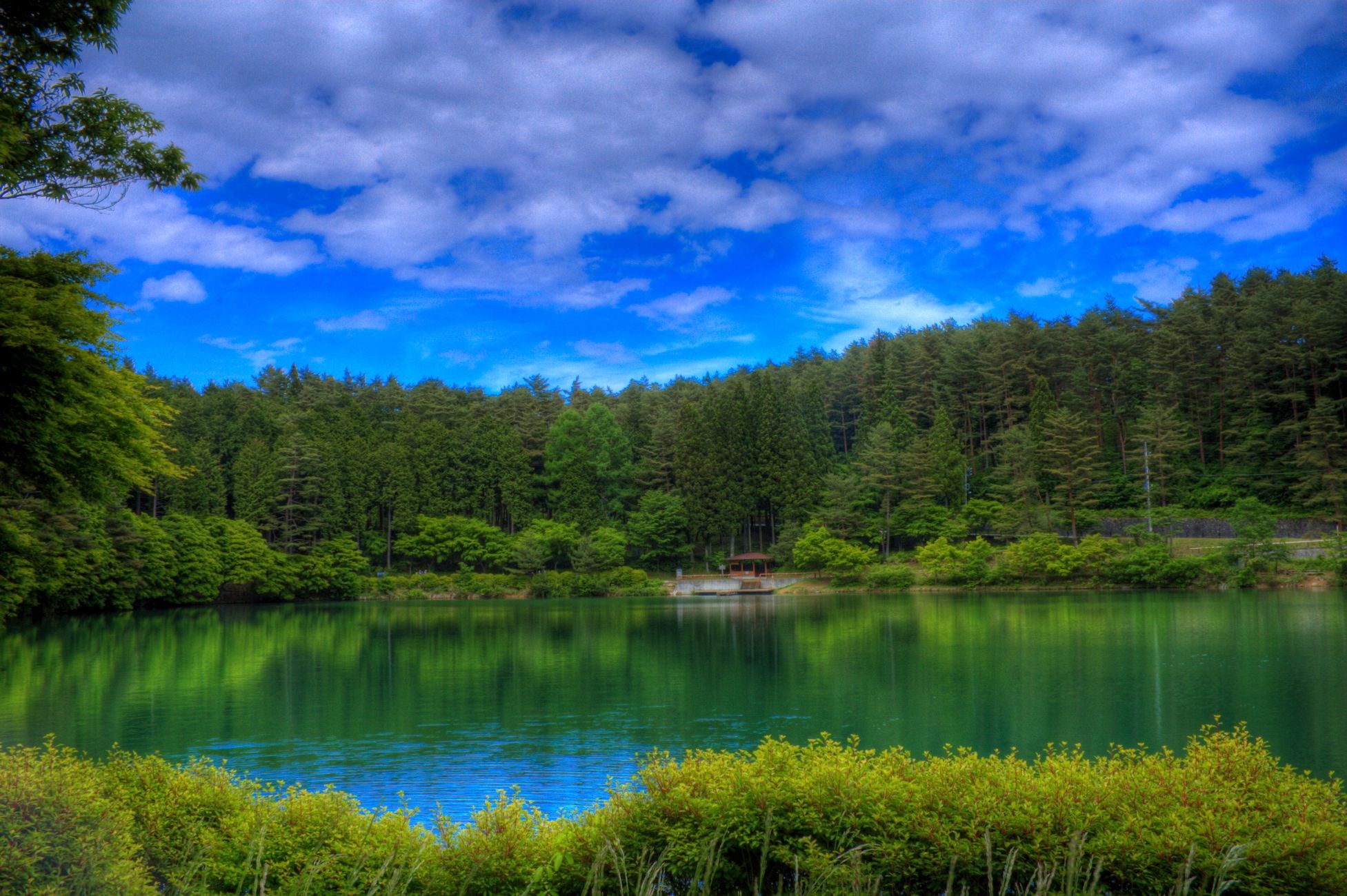 Lake surrounded by a dense forest under a cloudy blue sky HD Wallpaper