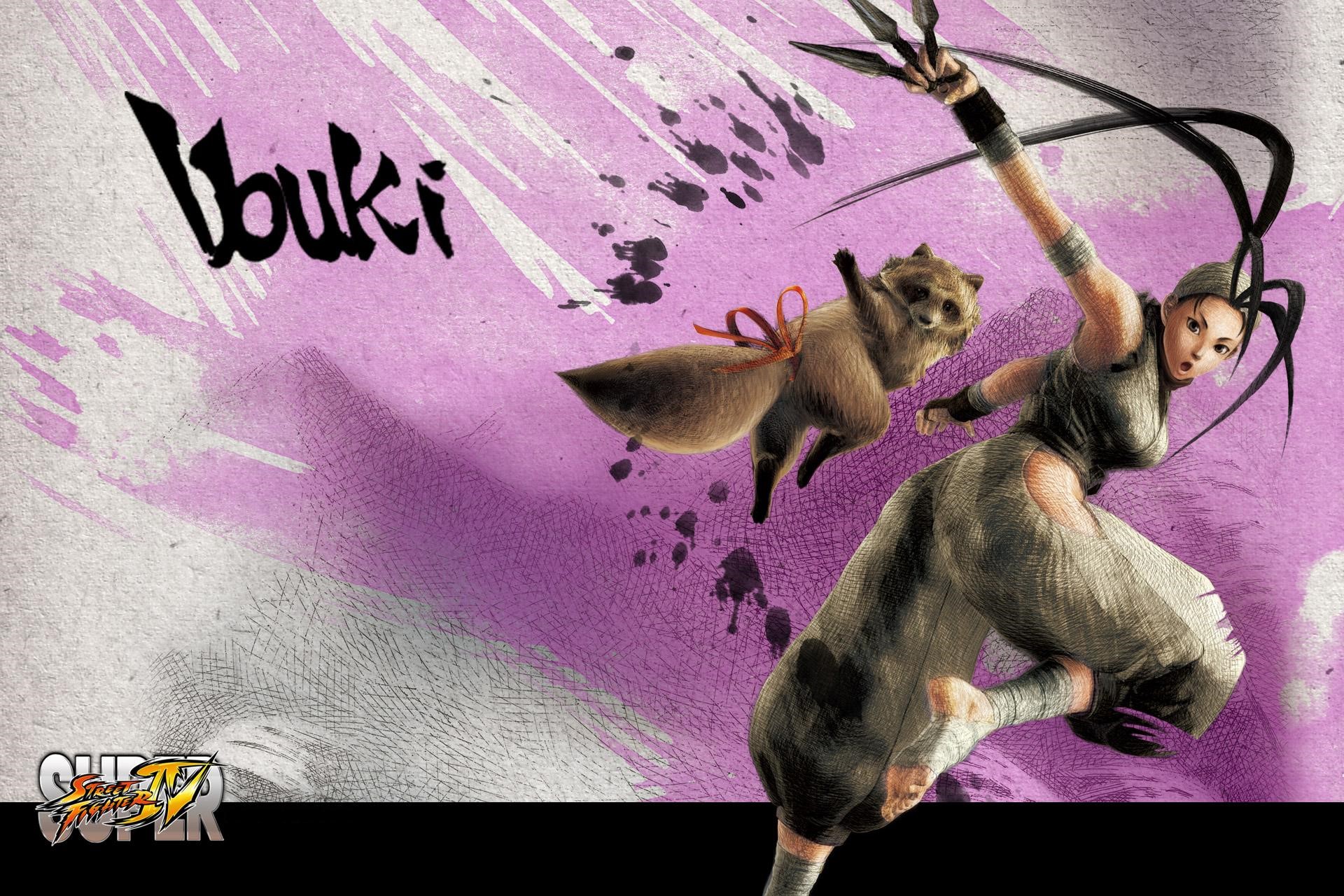 Ibuki from Street Fighter IV with a tanuki HD Wallpaper