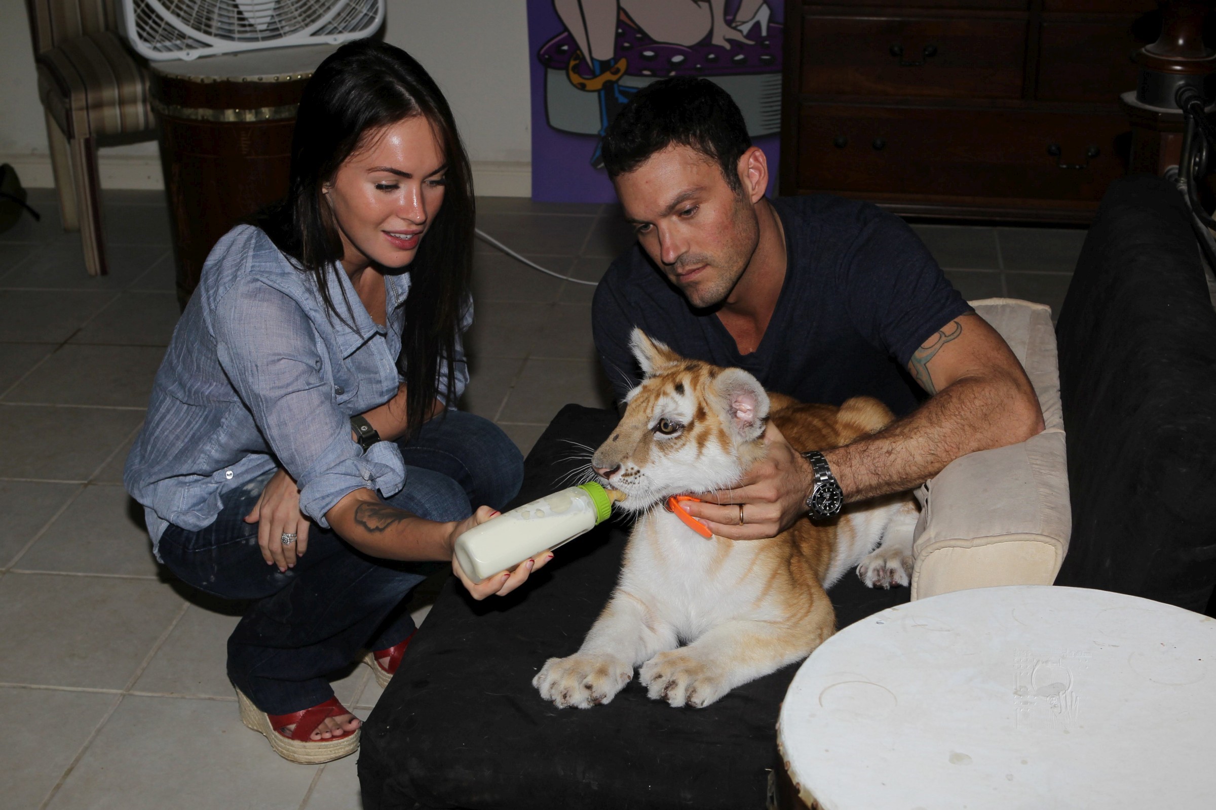 Megan Fox and Brian Austin Green feeding a tiger cub HD Wallpaper