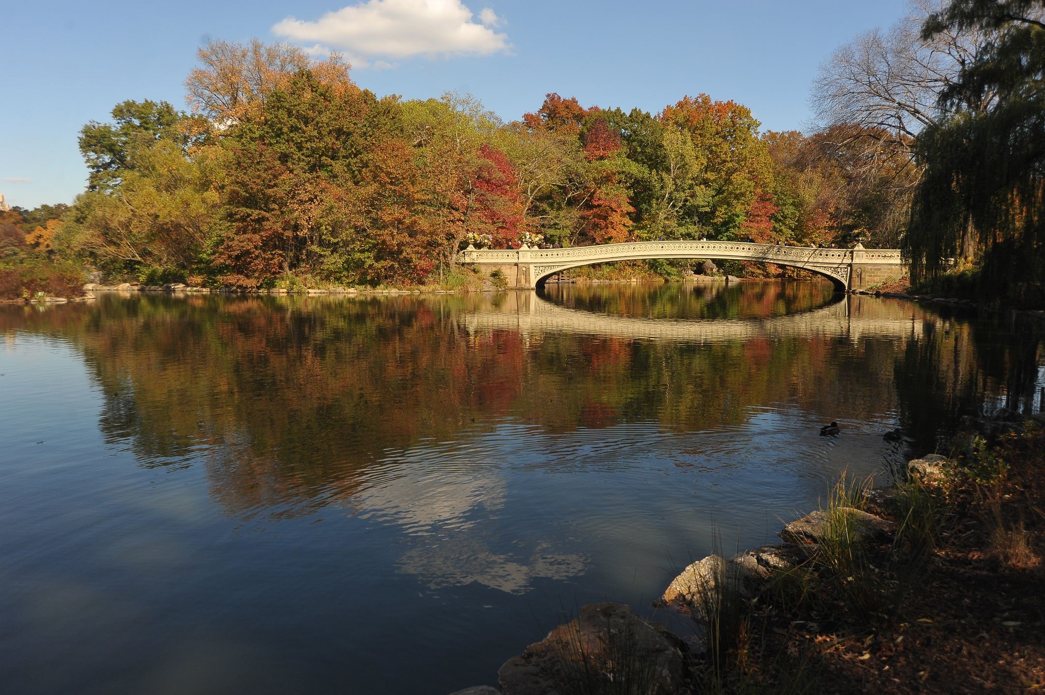Bridge over a lake with autumn trees HD Wallpaper