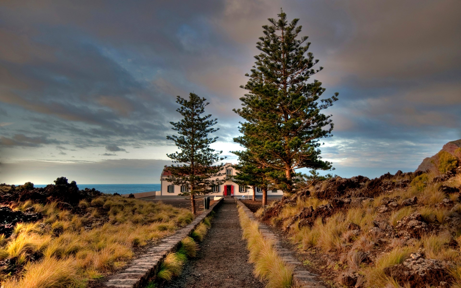 Path to a white house with red doors between pine trees HD Wallpaper