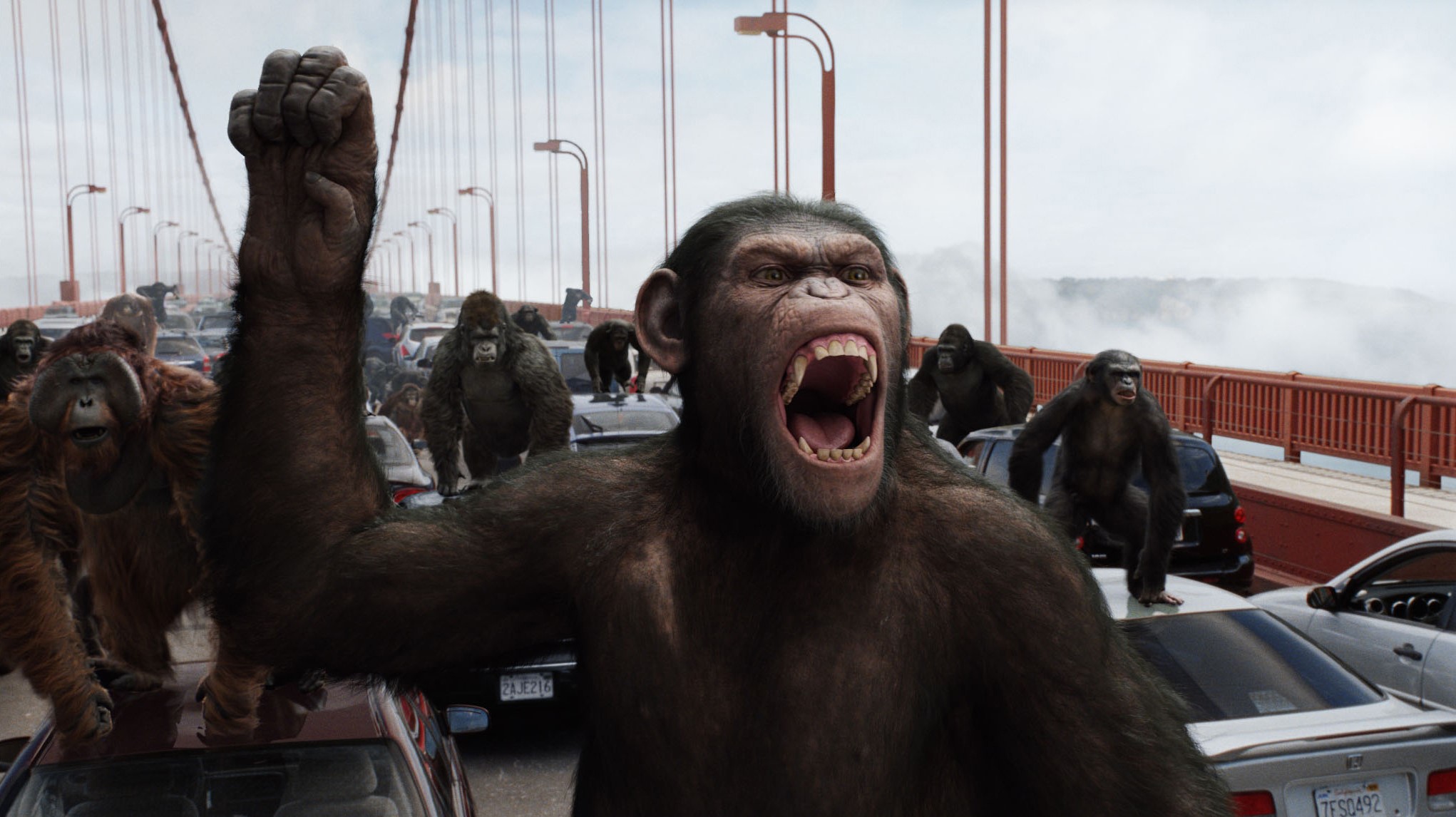 Caesar and apes on Golden Gate Bridge in Rise of the Planet of the Apes HD Wallpaper