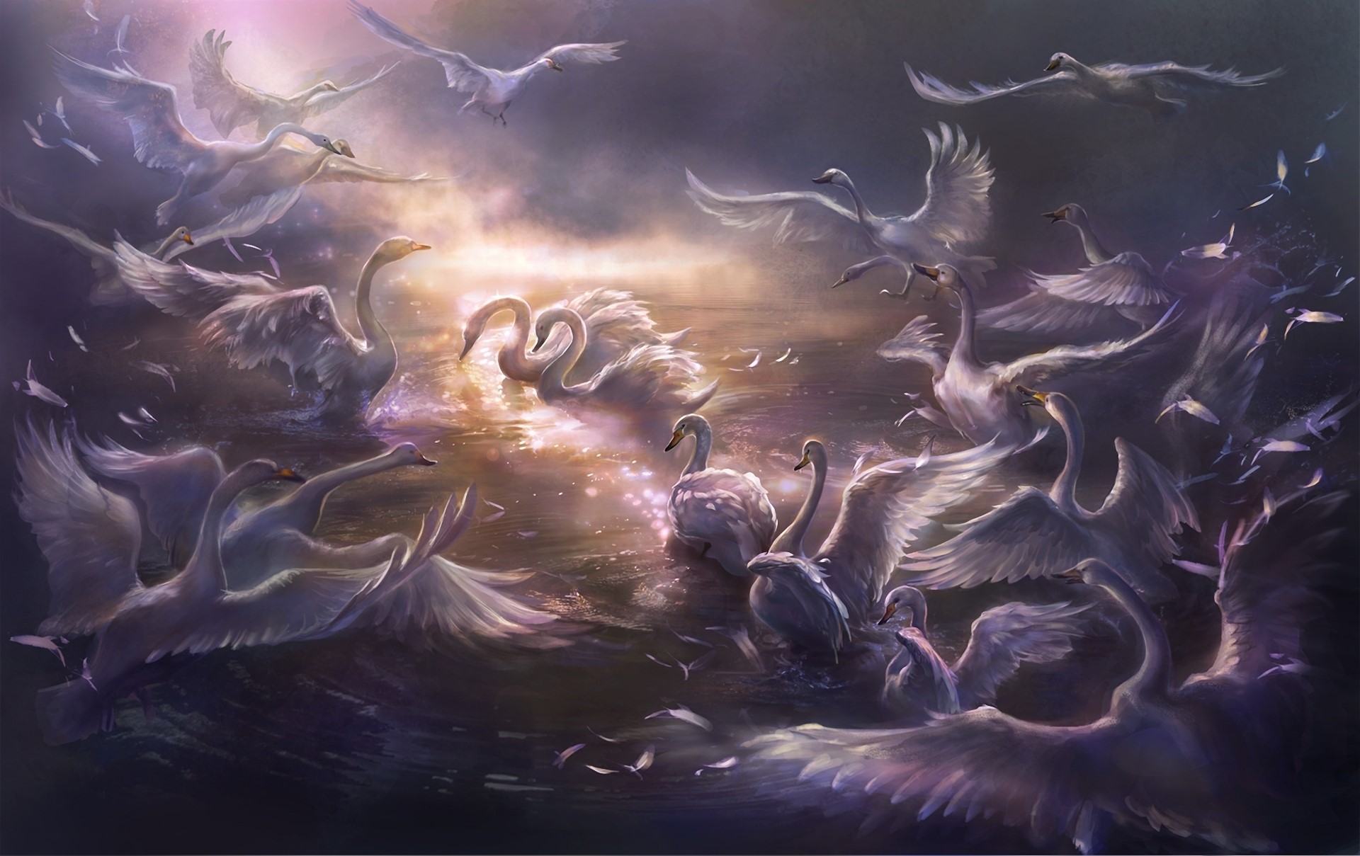 A flock of swans in a mystical water setting HD Wallpaper