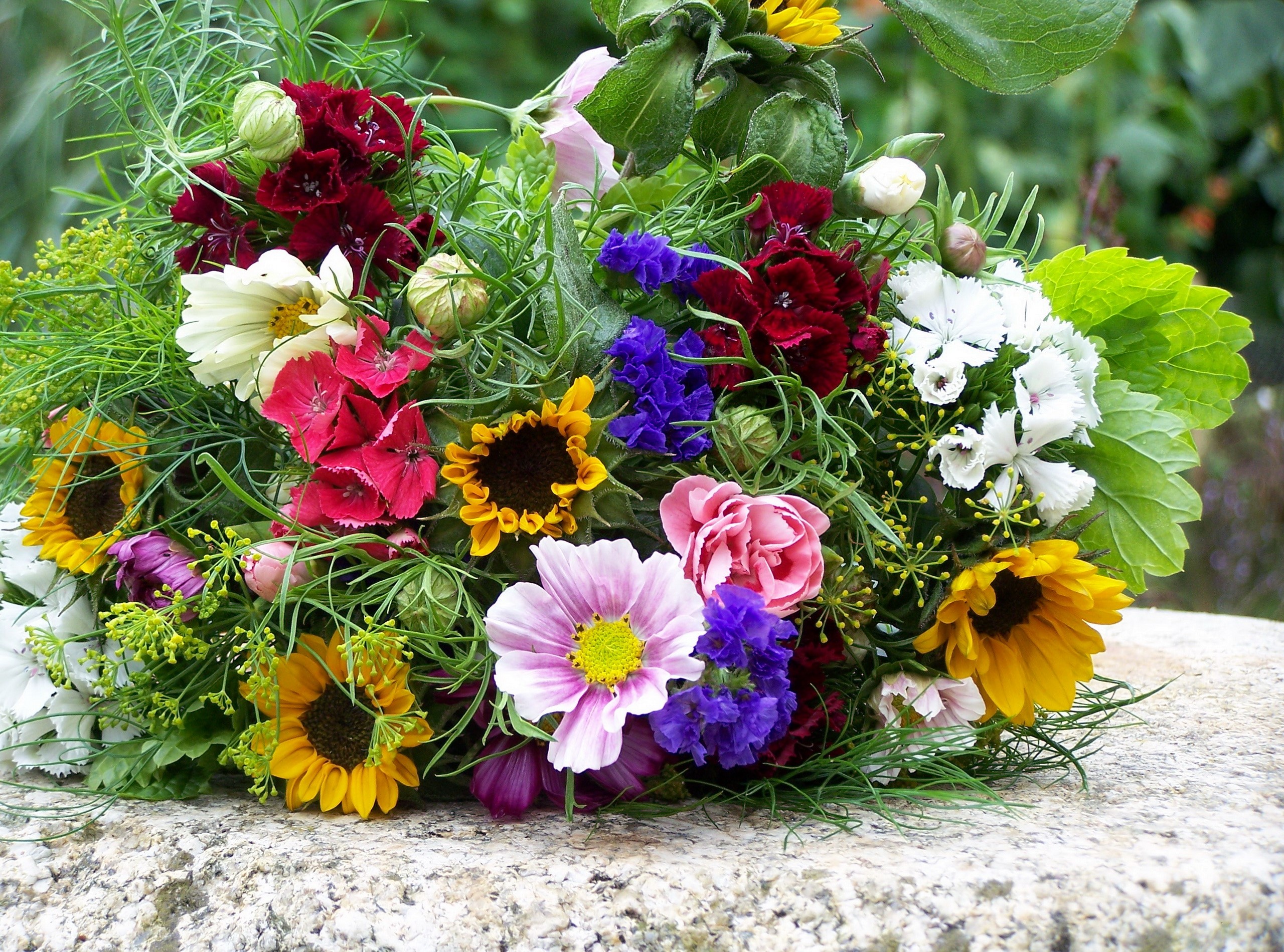 Colorful bouquet of wildflowers on a stone surface HD Wallpaper