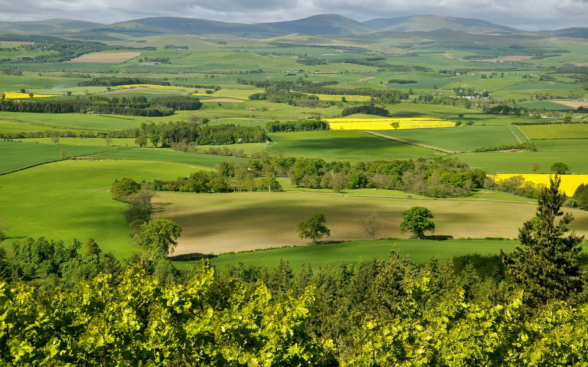 Rolling green hills and fields under a cloudy sky HD Wallpaper