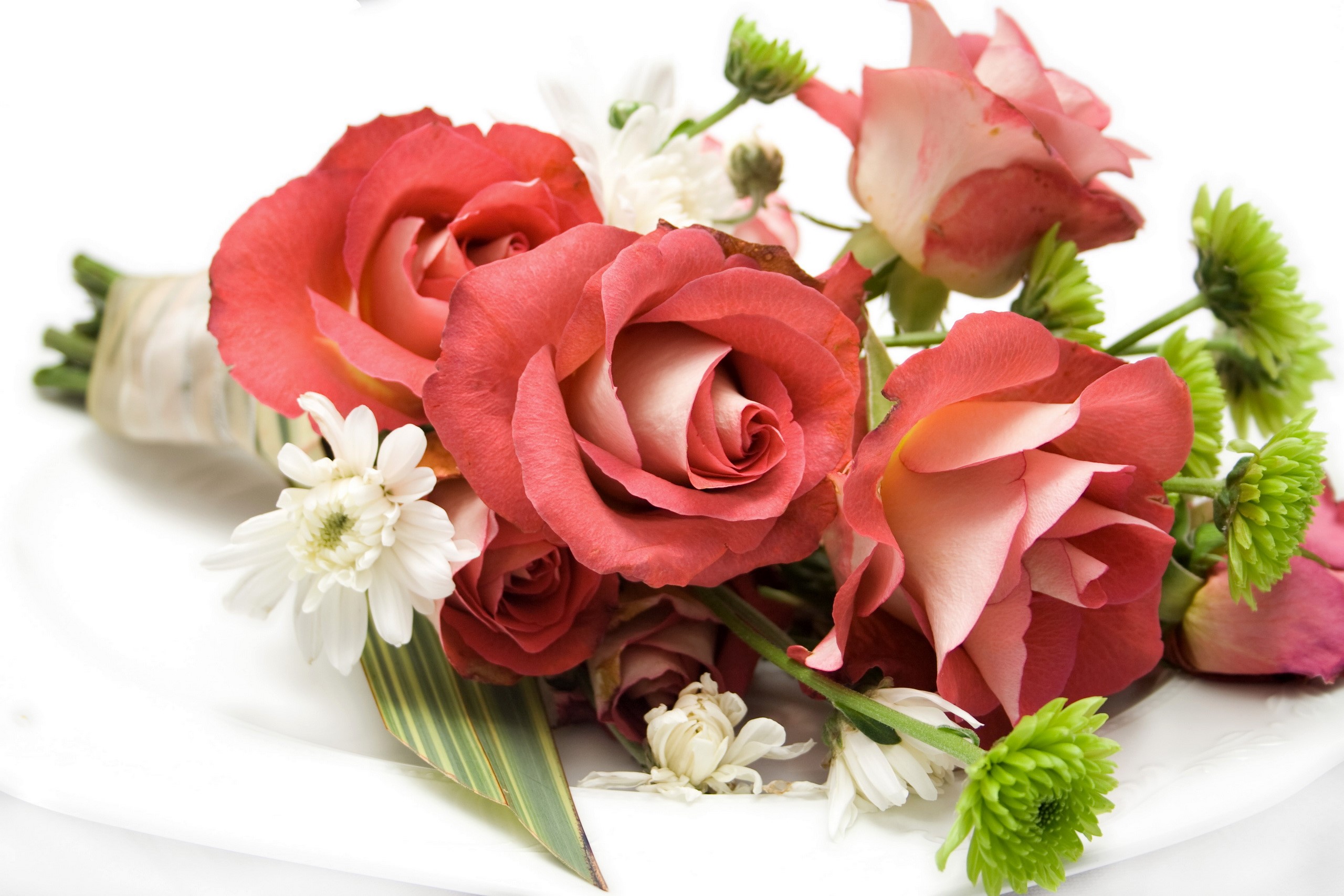 Bouquet of Roses and Chrysanthemums HD Wallpaper