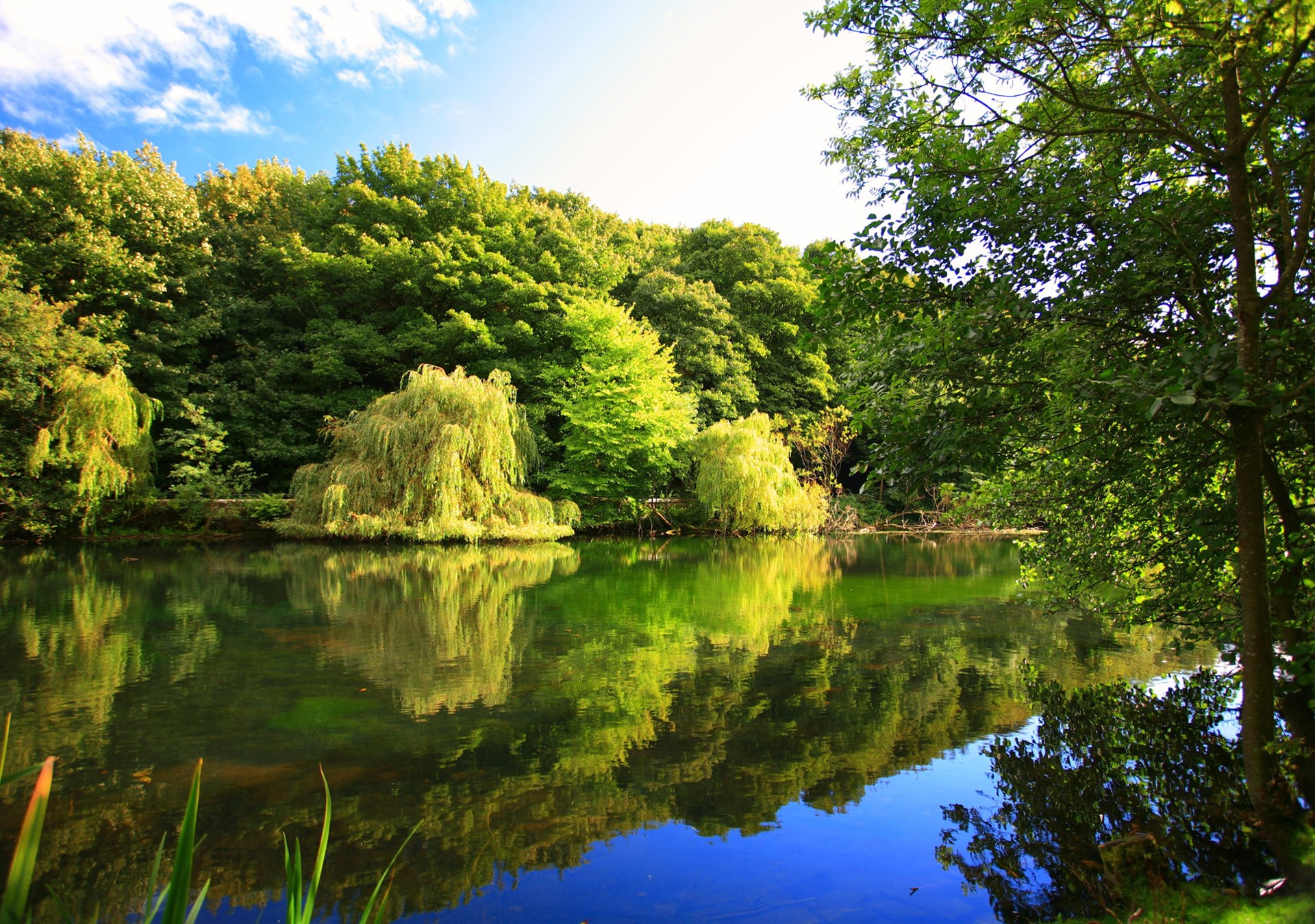 A tranquil lake surrounded by lush green trees with reflections in the water HD Wallpaper