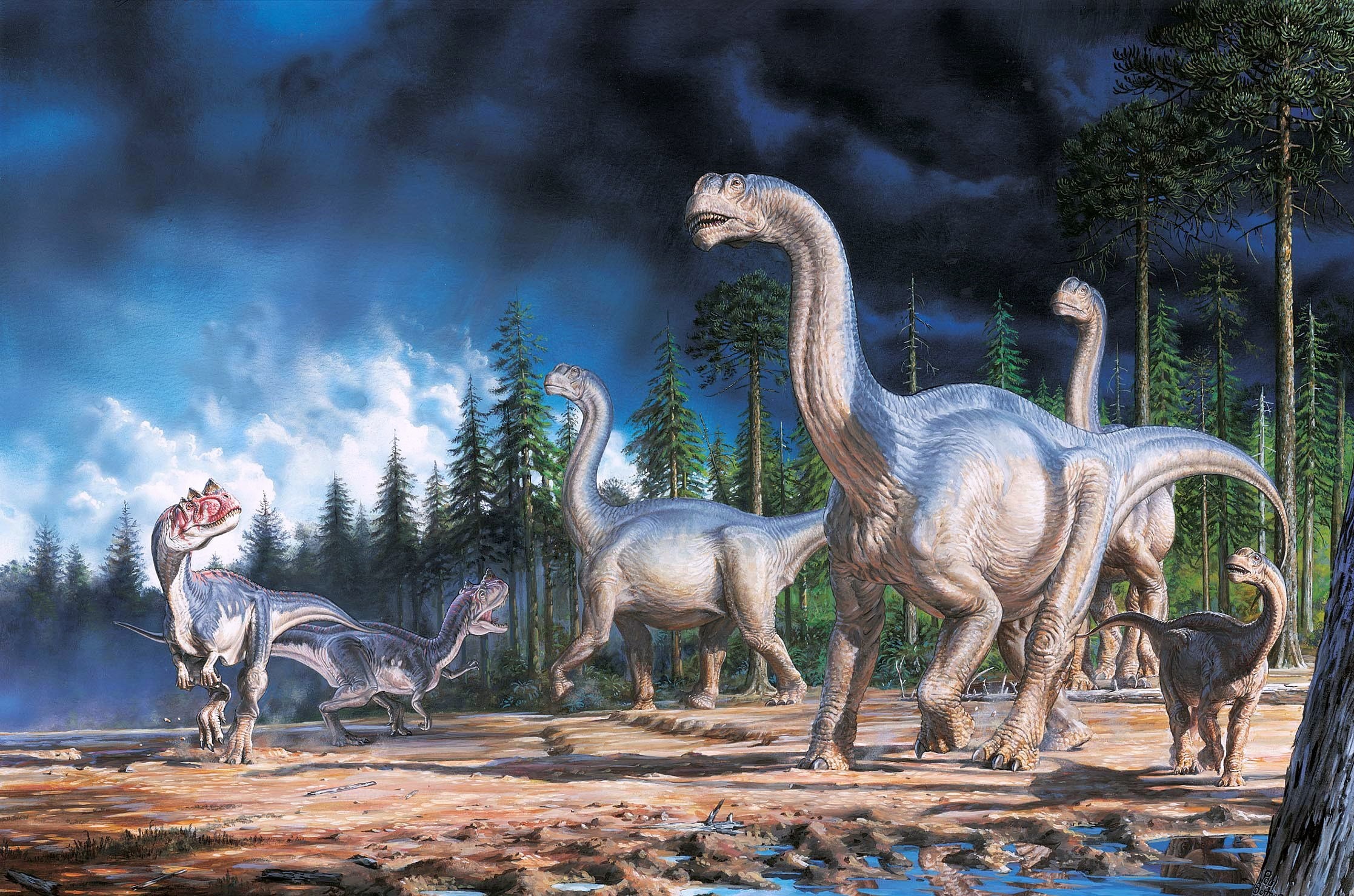 A herd of sauropods and theropods in a prehistoric forest HD Wallpaper