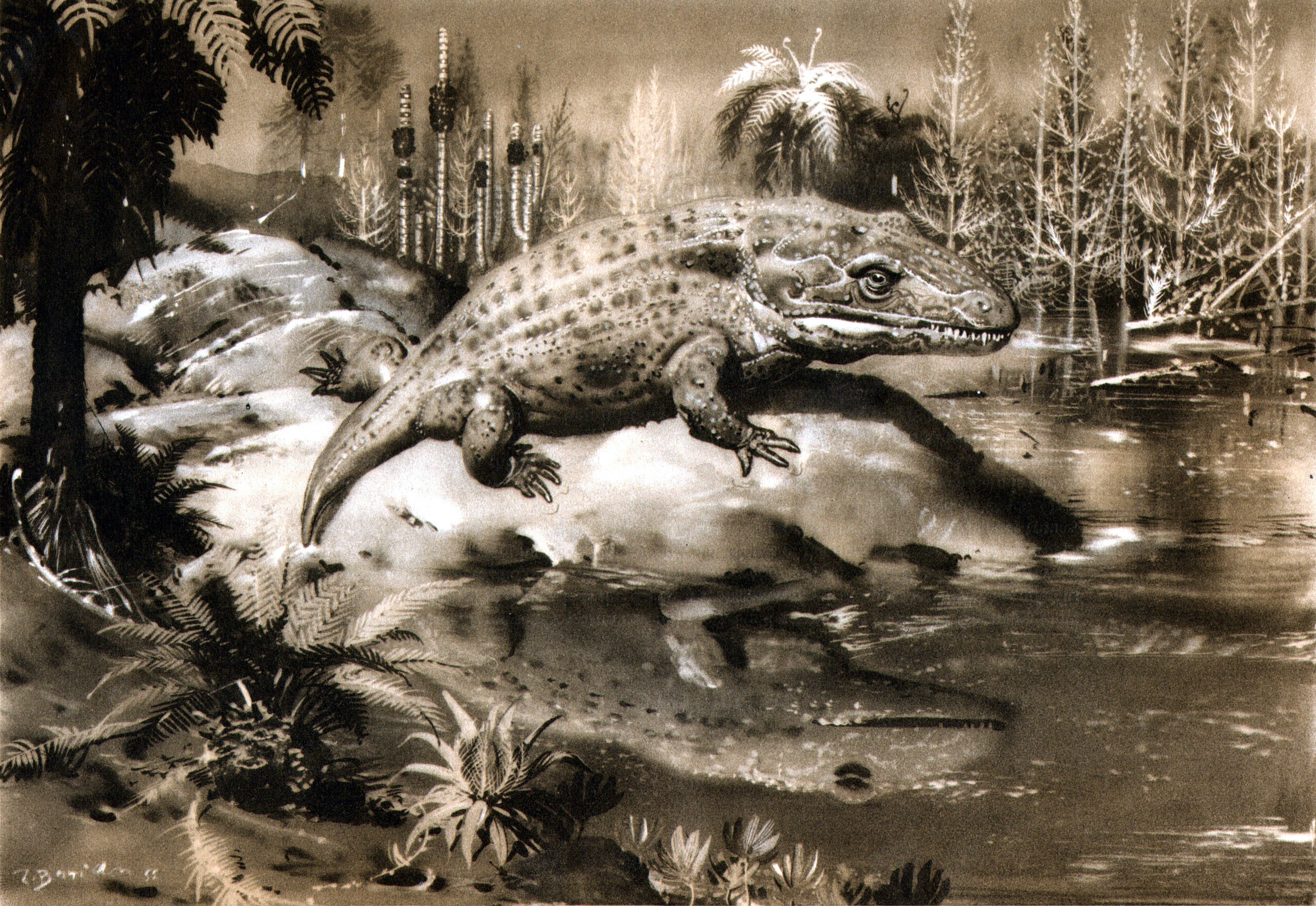 Ancient amphibian in prehistoric swamp HD Wallpaper