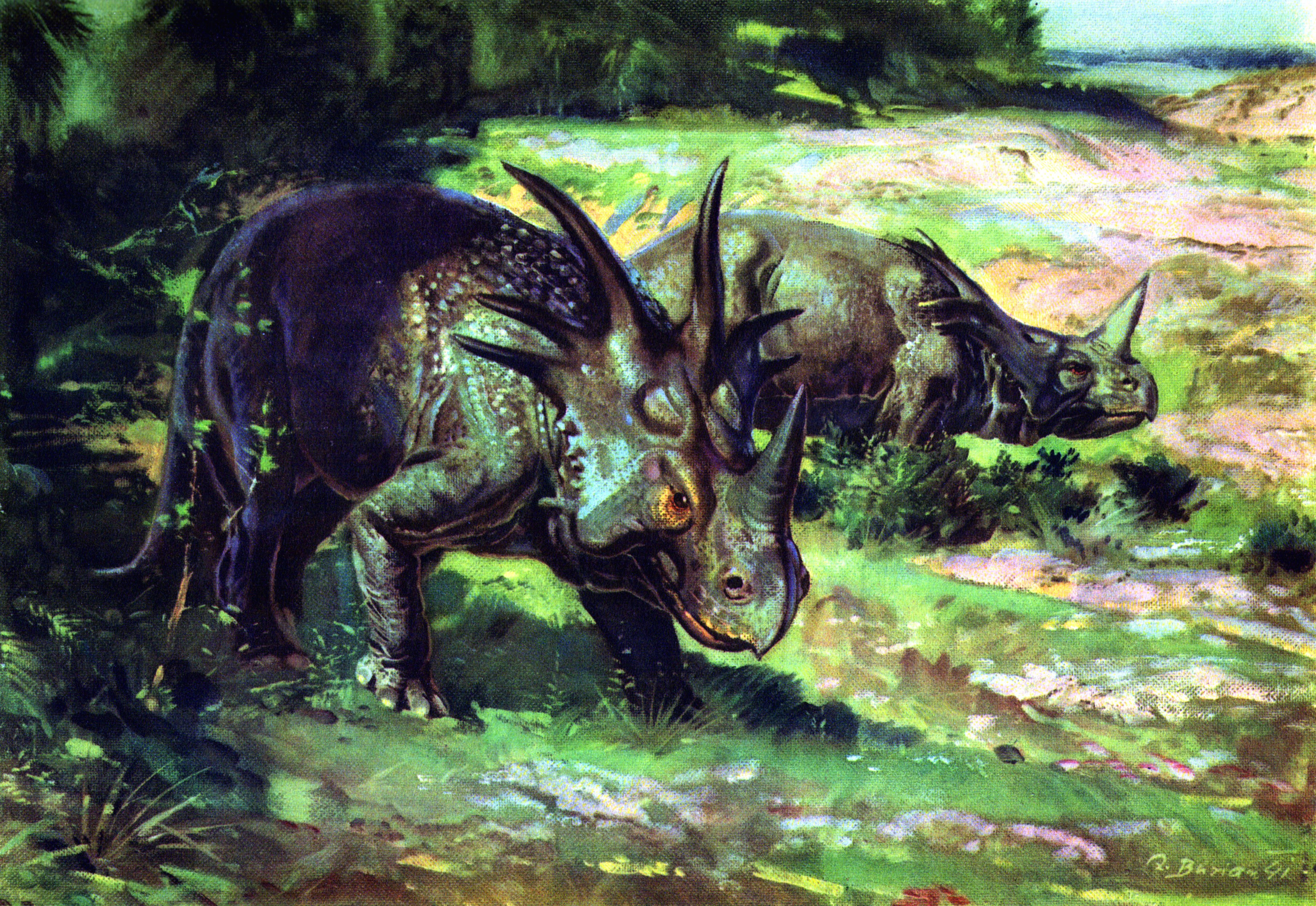 Two Styracosaurus dinosaurs in a prehistoric landscape HD Wallpaper