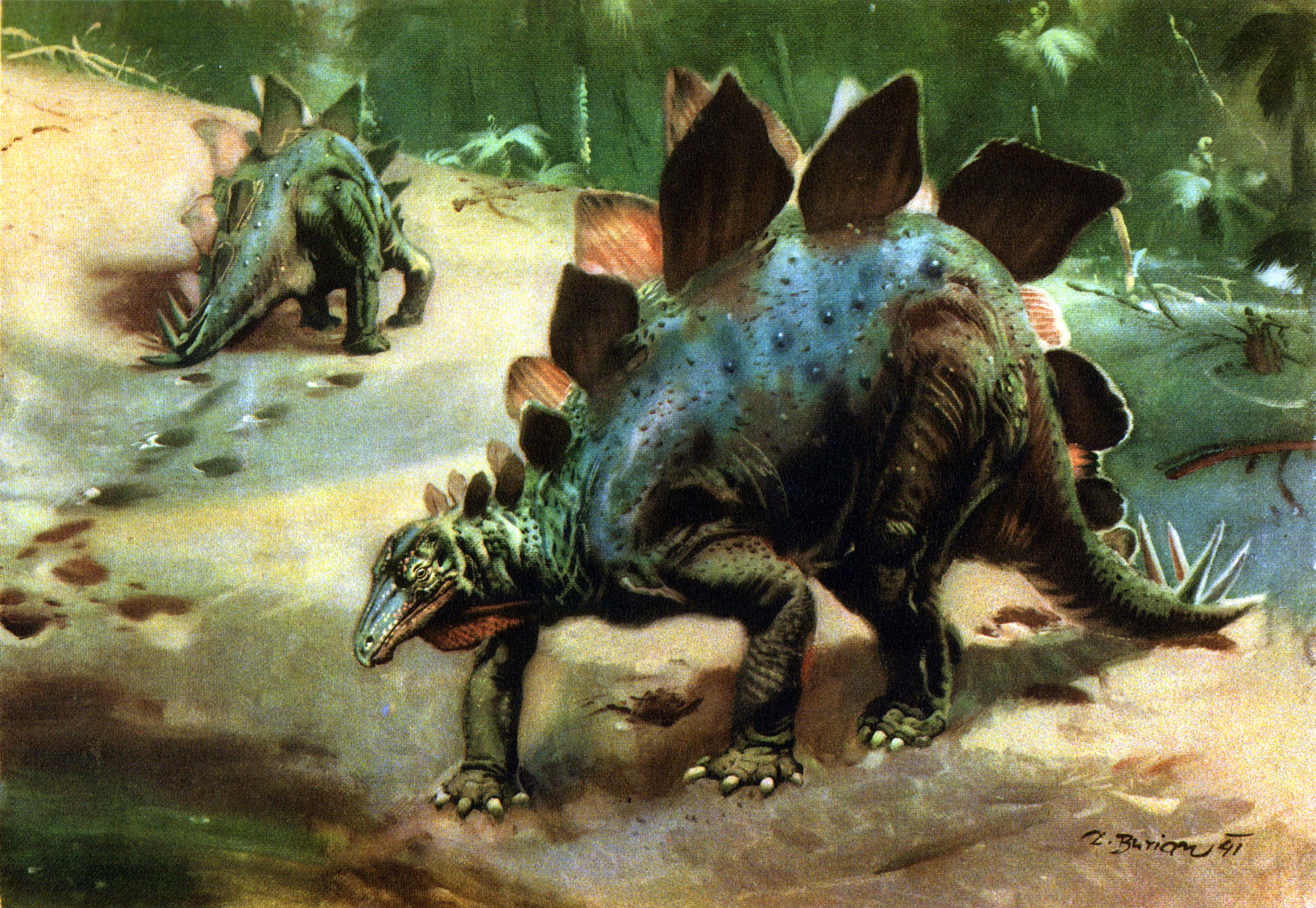 Two Stegosaurus dinosaurs walking in a prehistoric landscape HD Wallpaper