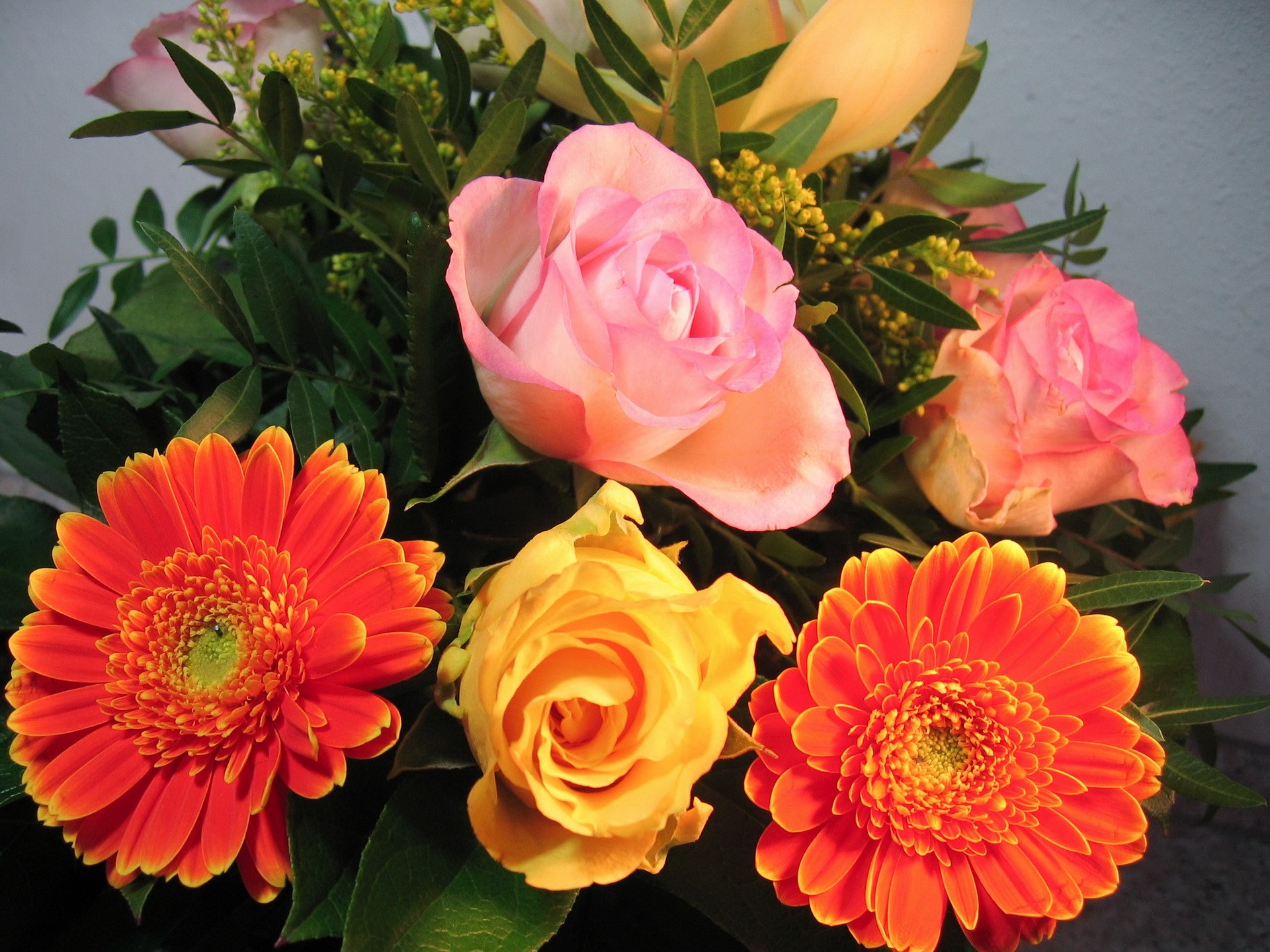 Bouquet of Roses and Gerbera Daisies HD Wallpaper