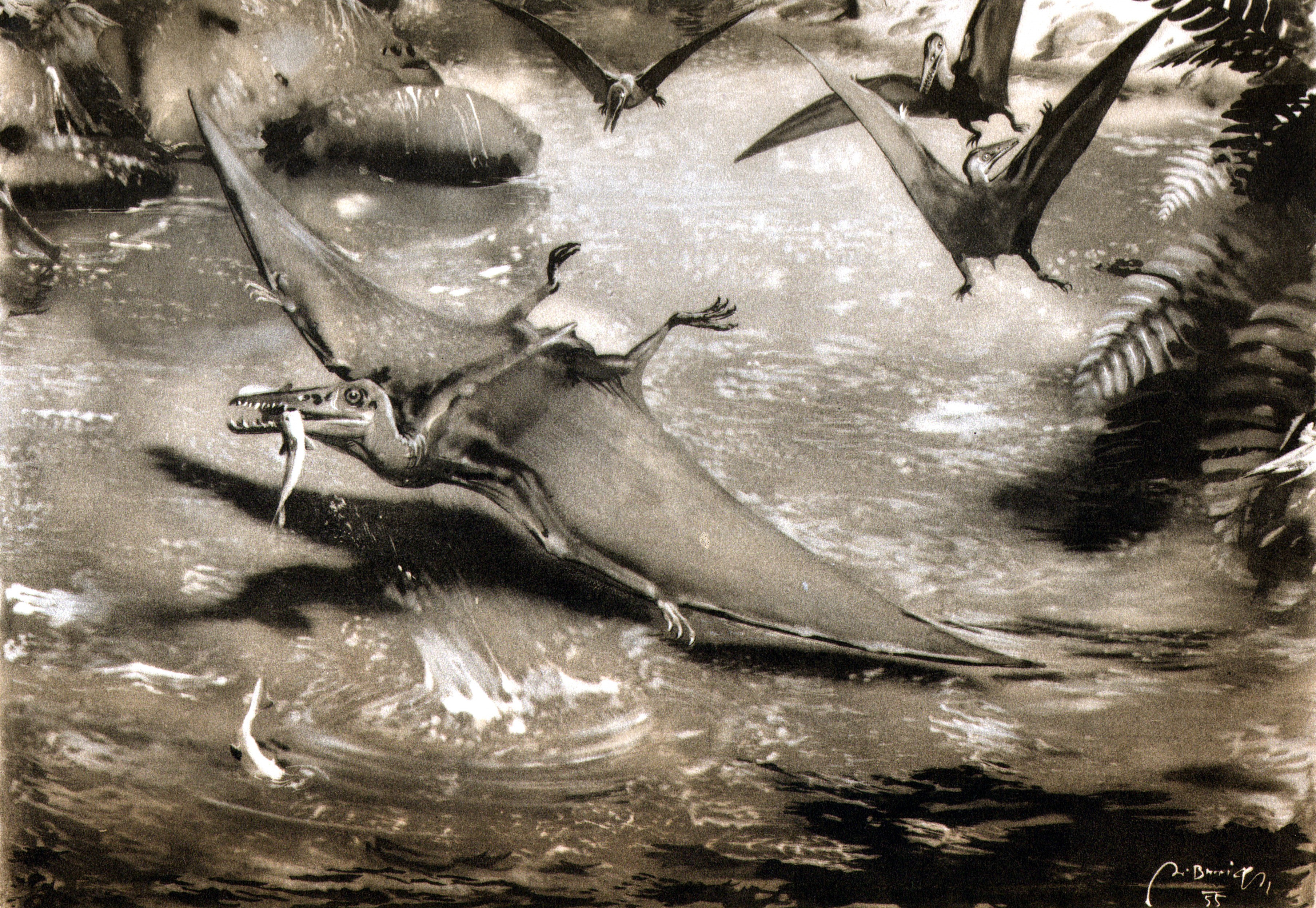 Pterosaurs hunting fish in a prehistoric river HD Wallpaper