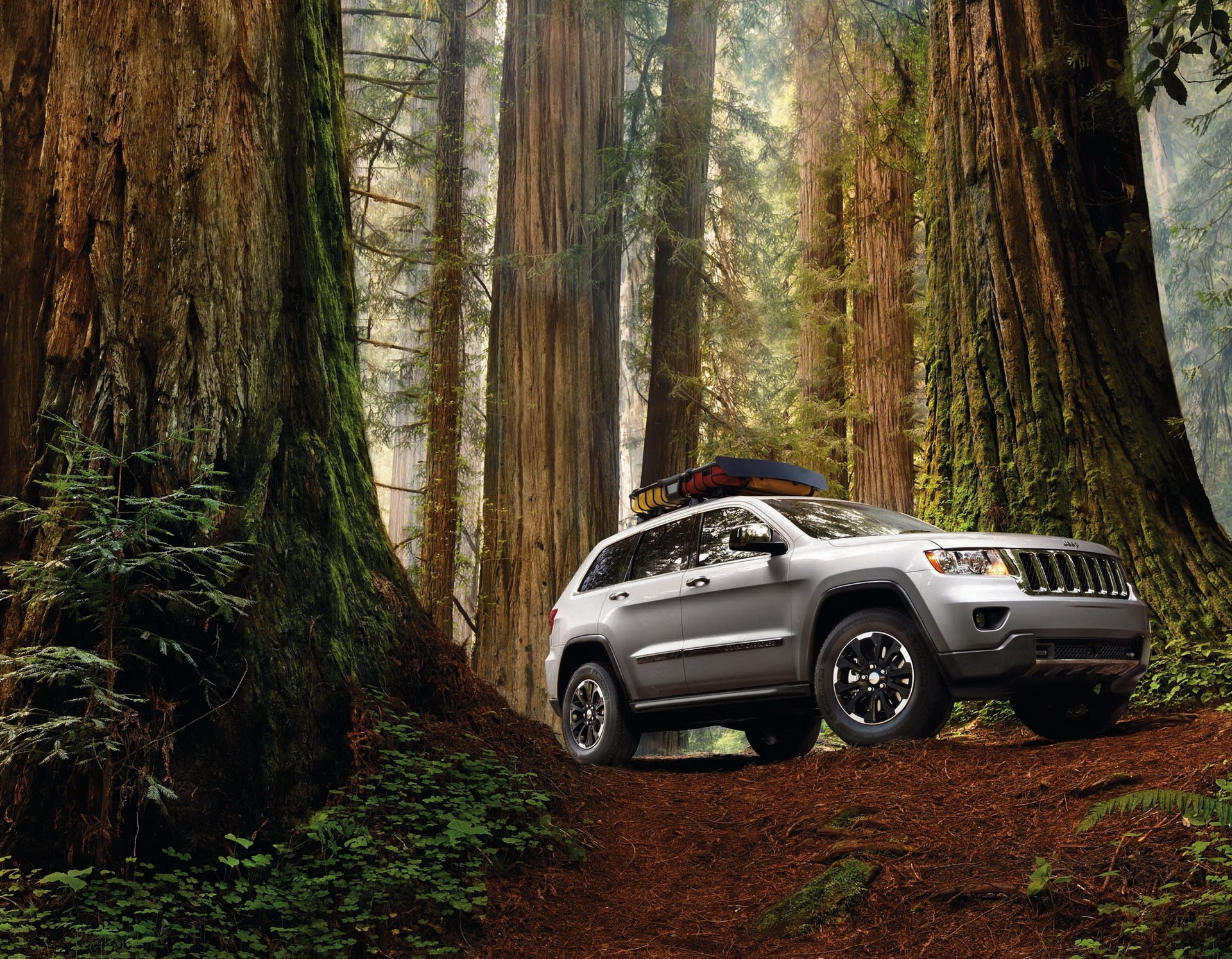 Silver Jeep Grand Cherokee in Redwood Forest HD Wallpaper
