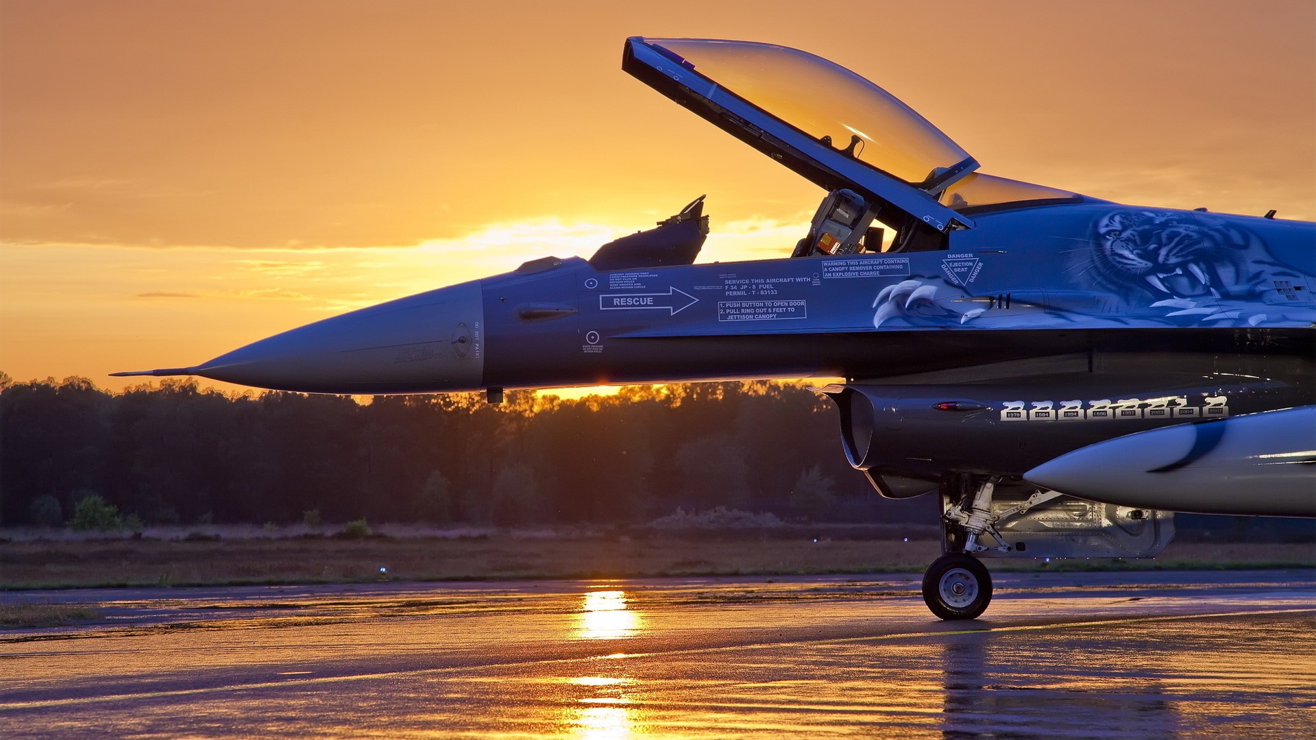 F-16 fighter jet with tiger artwork at sunset HD Wallpaper