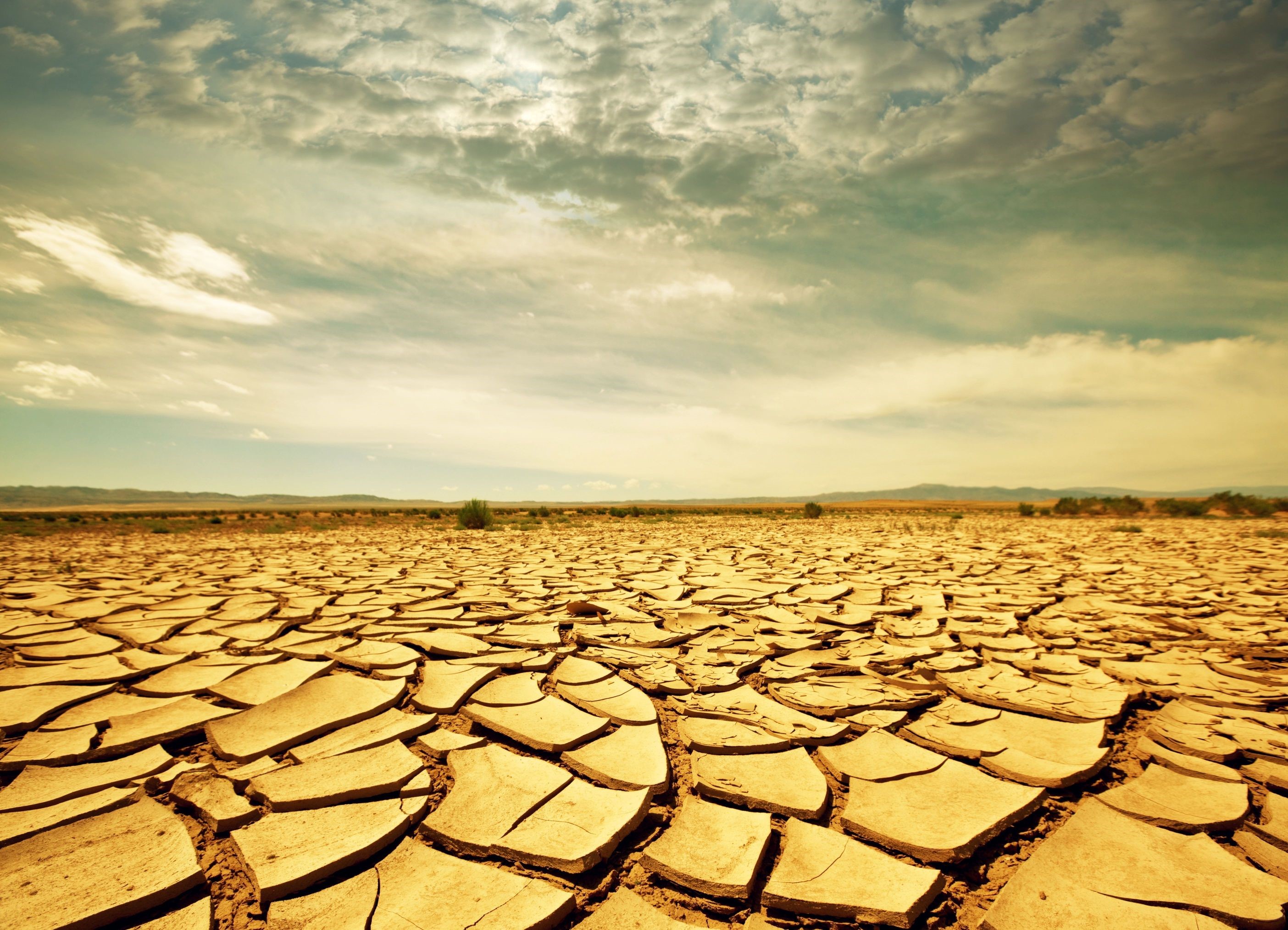 Cracked earth desert landscape under cloudy sky HD Wallpaper