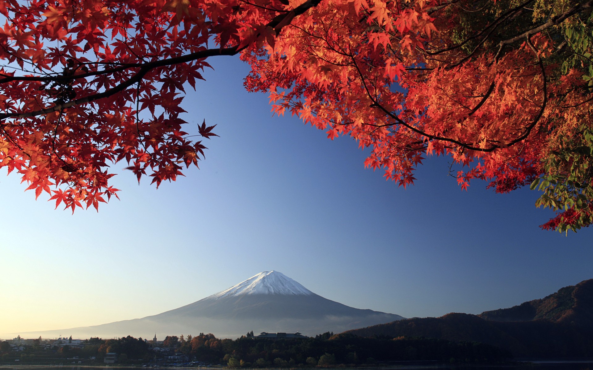 Mount Fuji with Autumn Maple Leaves HD Wallpaper